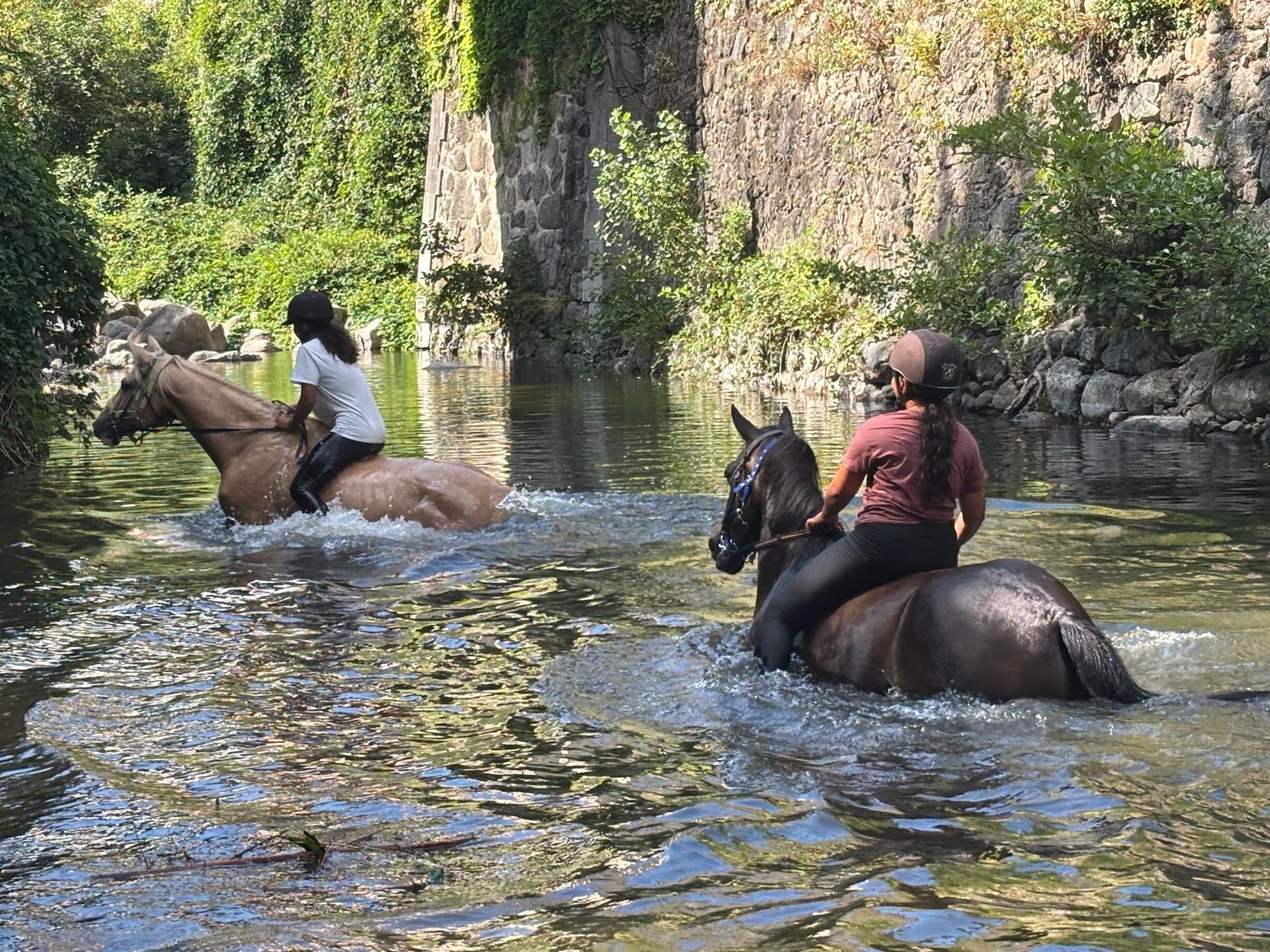 Les Poneys du Val d'Emeraude_Lasalle