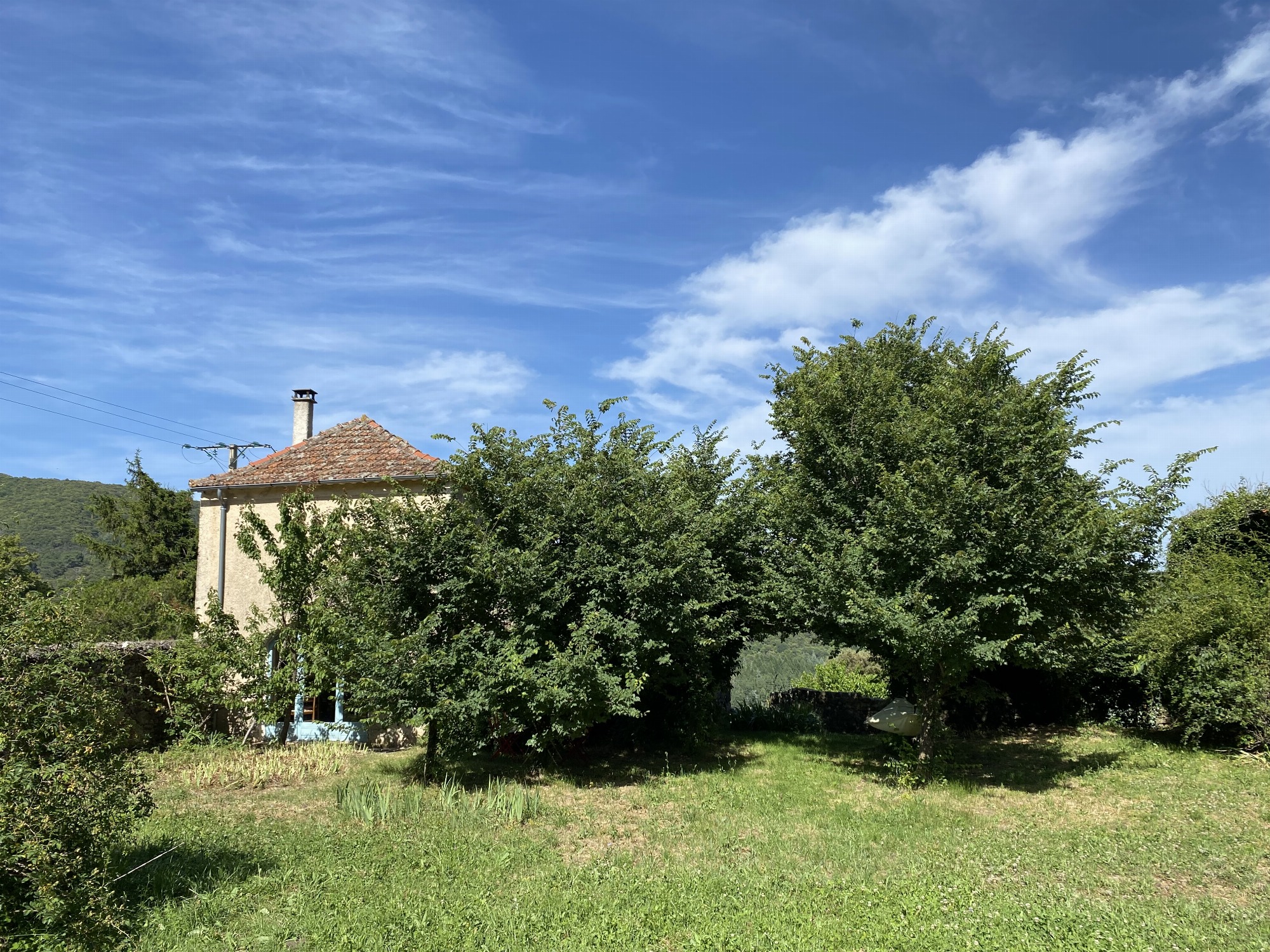 Les faisses en cévennes