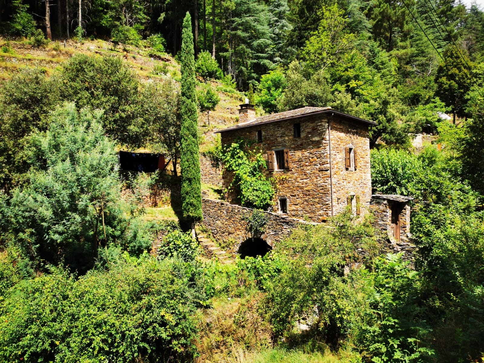 Paradis Cévenol - Cocon des Cévennes