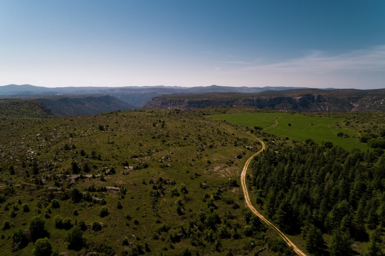 Causse Blandas