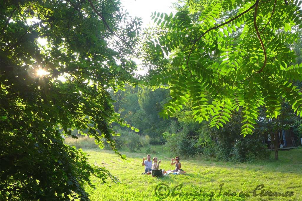 Apero sur l'herbe