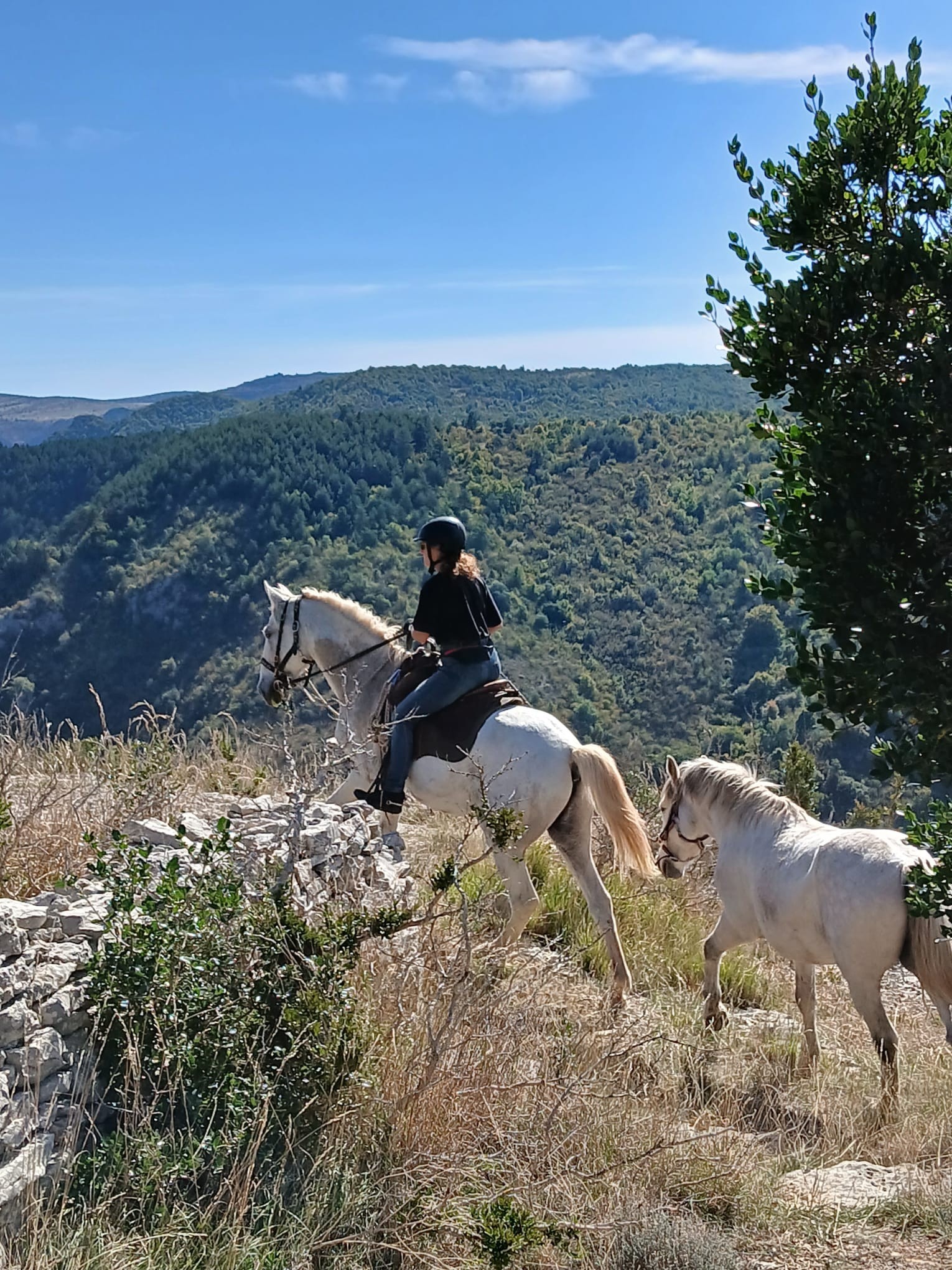 Au bord de la Virenque
