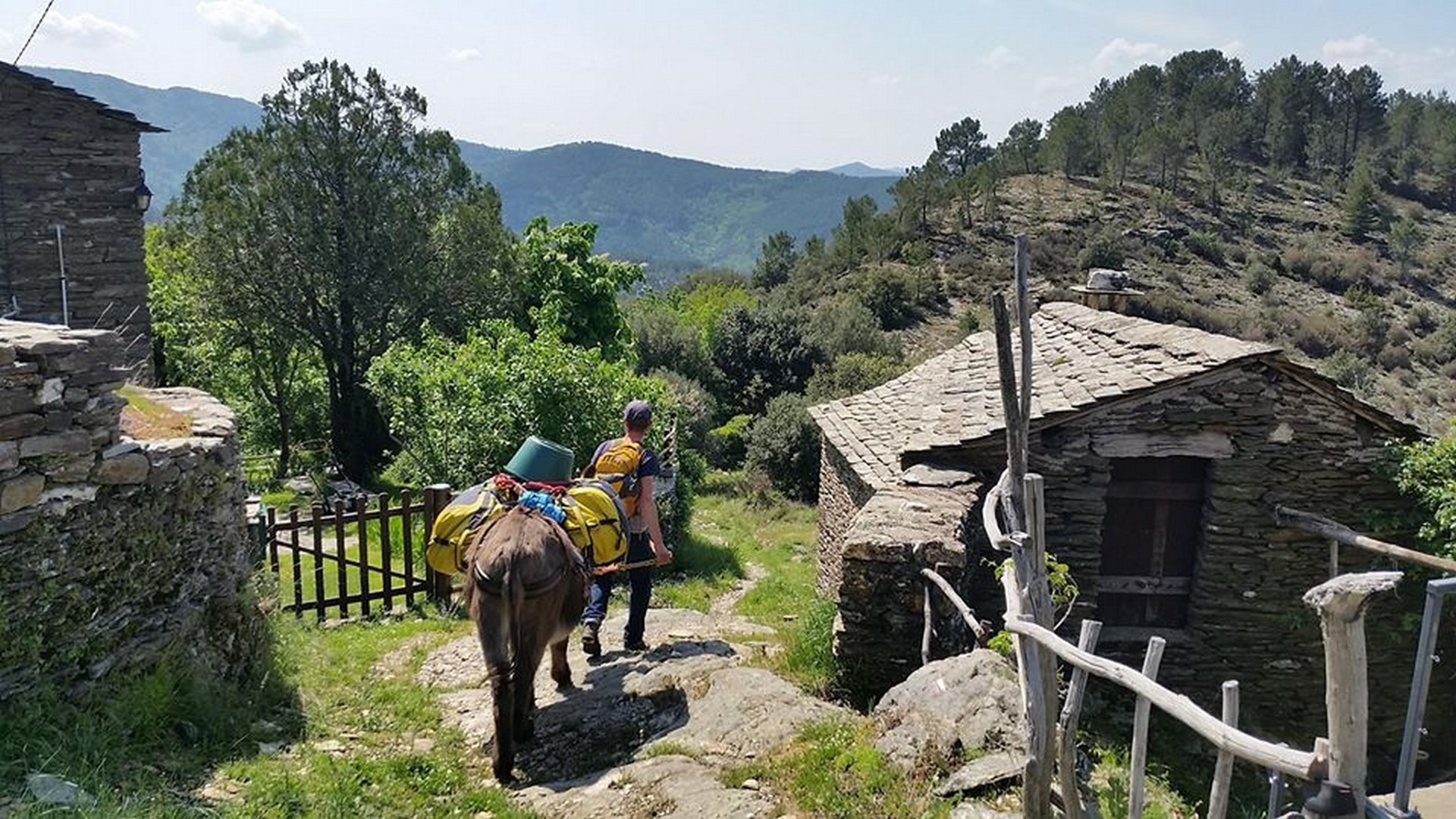 Cévennes G ' Randos d'ânes_Molezon