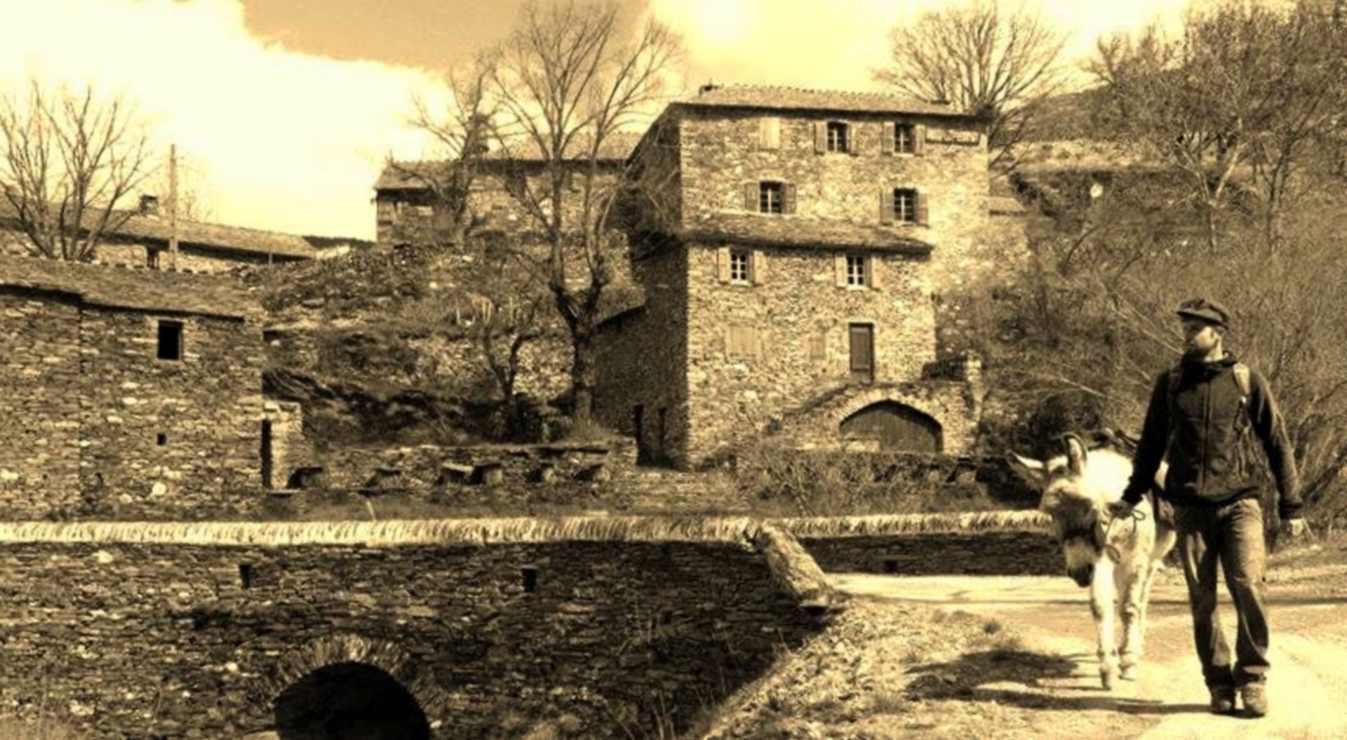 Cévennes G ' Randos d'ânes_Molezon