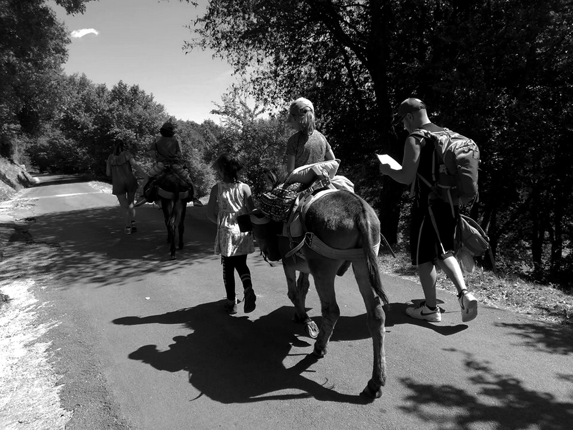 Cévennes G ' Randos d'ânes_Molezon