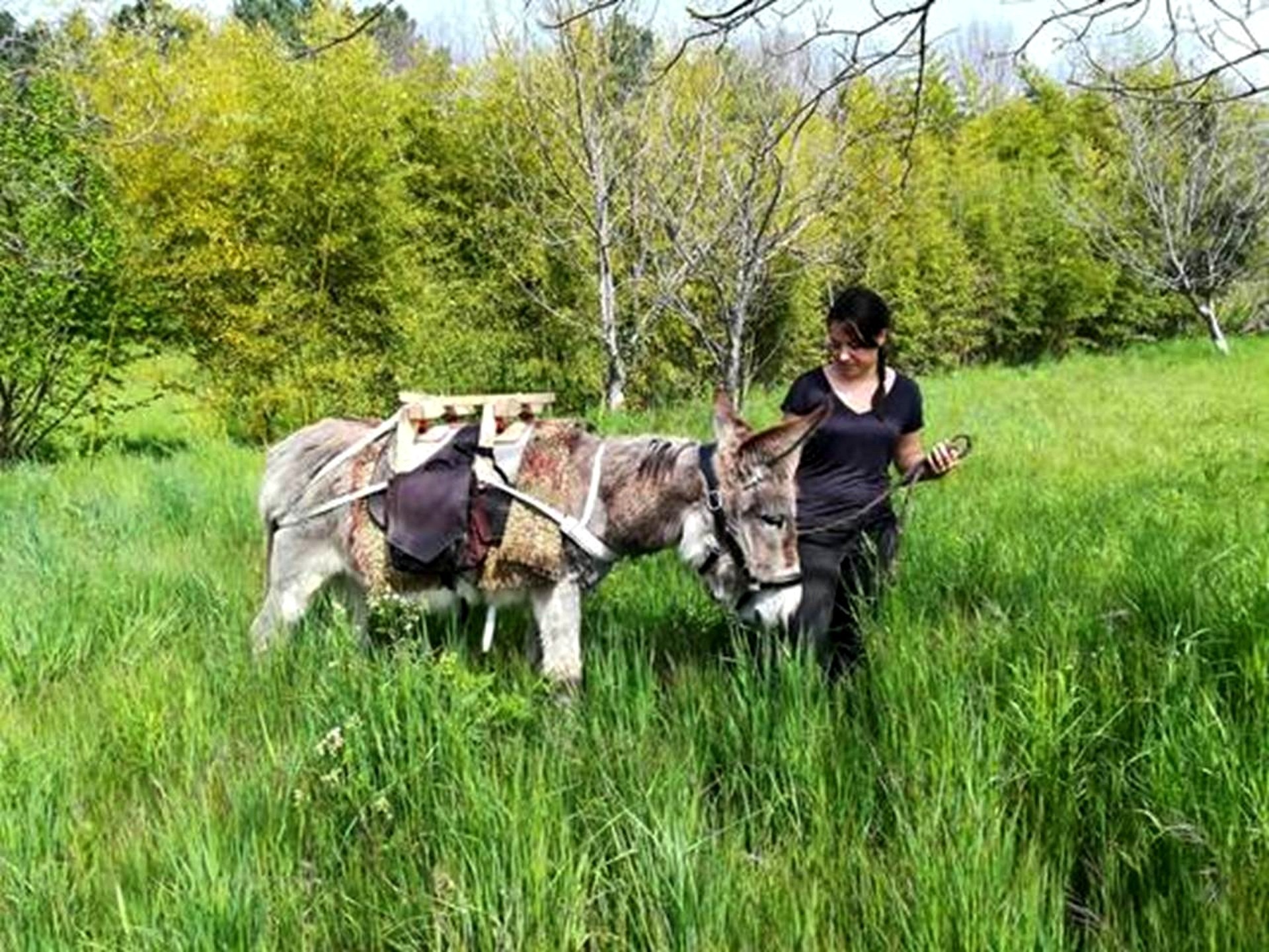 Cévennes G ' Randos d'ânes_Molezon