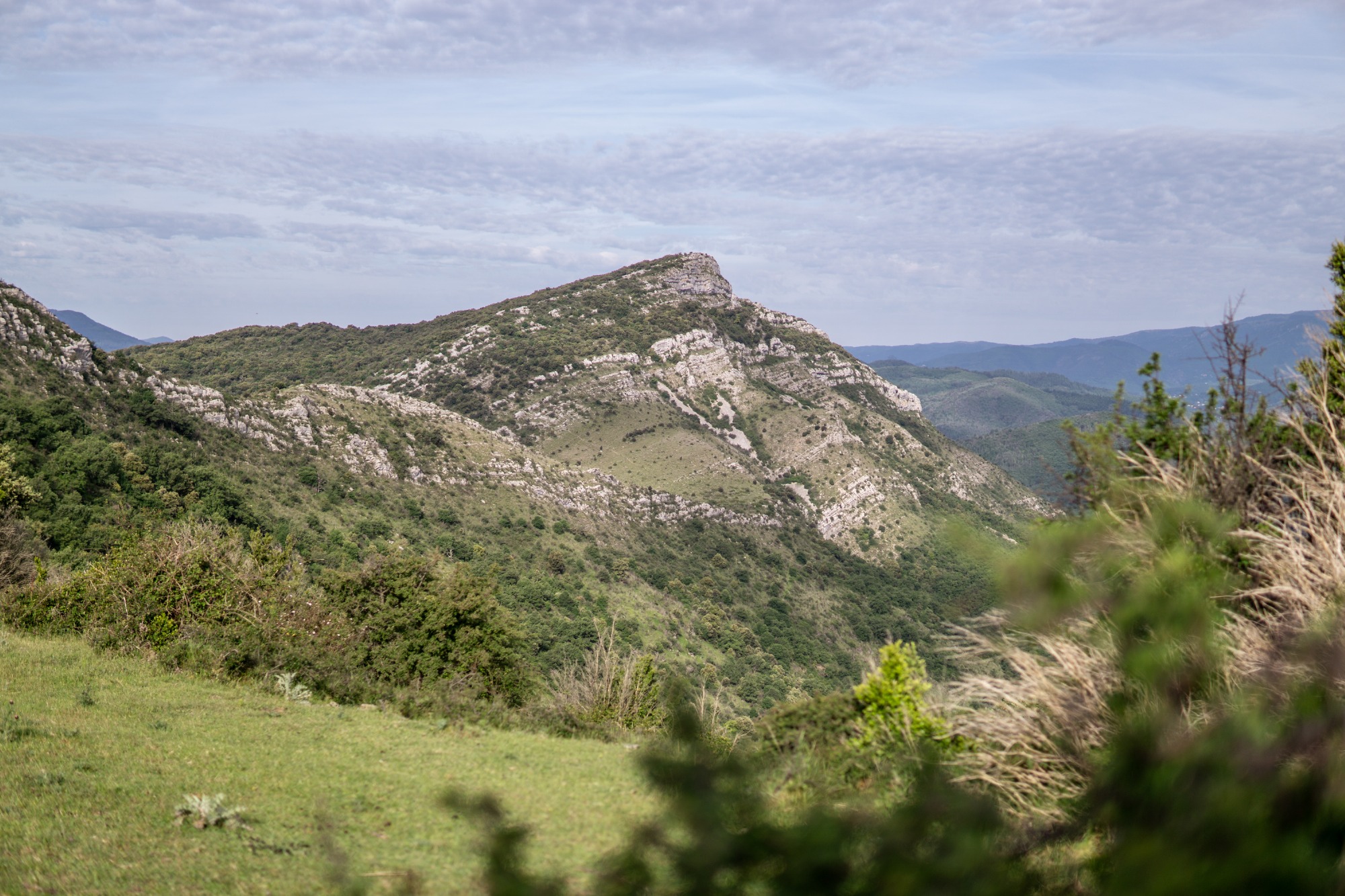 Ranc de Banes
