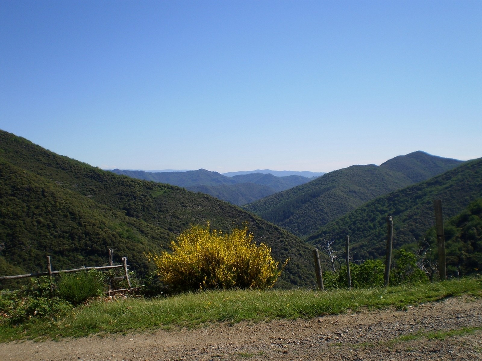 Village des plantiers