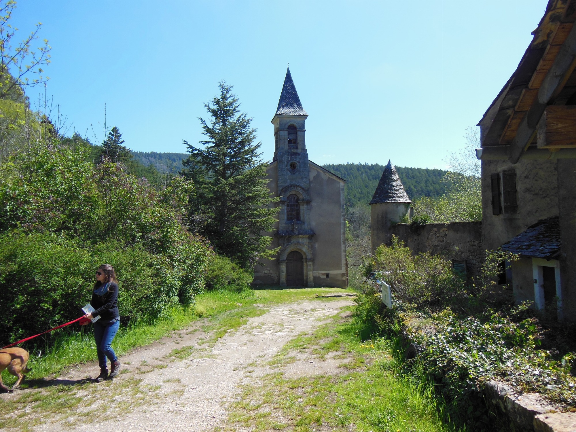 Arborétum de St Sauveur des Pourcils