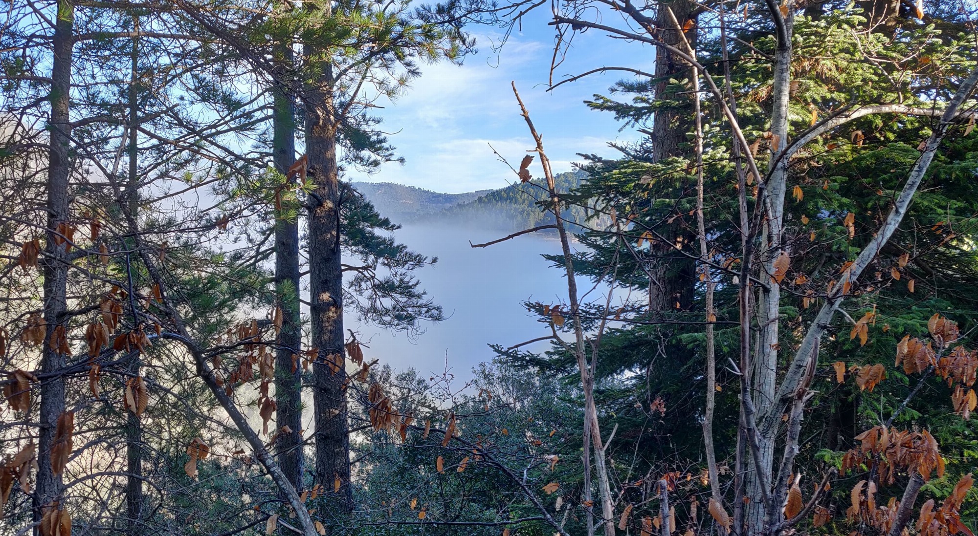 Sentier de Valescure