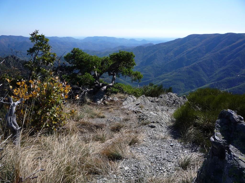 Sentier des Botanistes