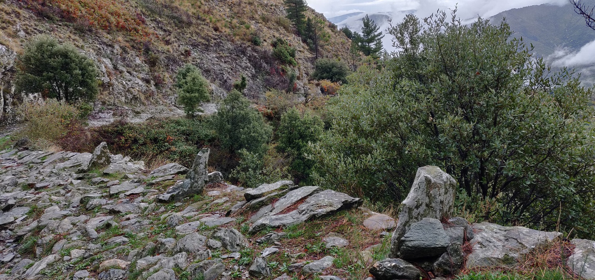 sentier du mouflon les plantiers