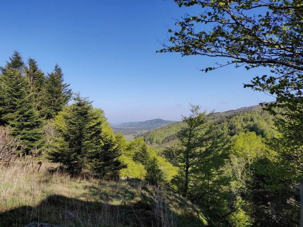 Trail Parcours 3