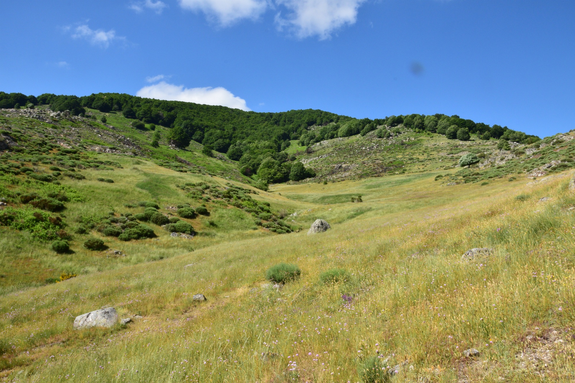 Sentier de Malpertus