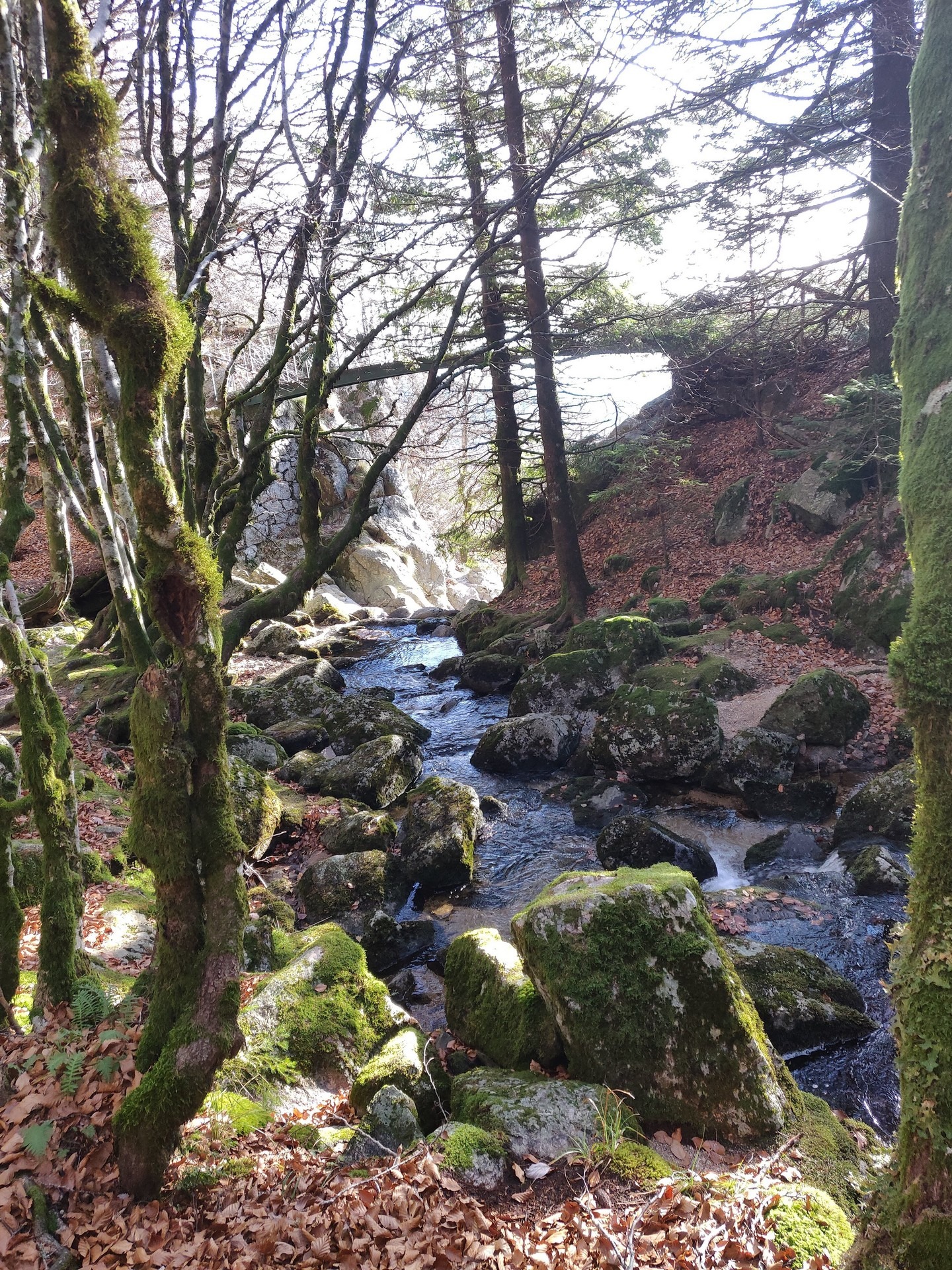 Les cascades d'Orgon