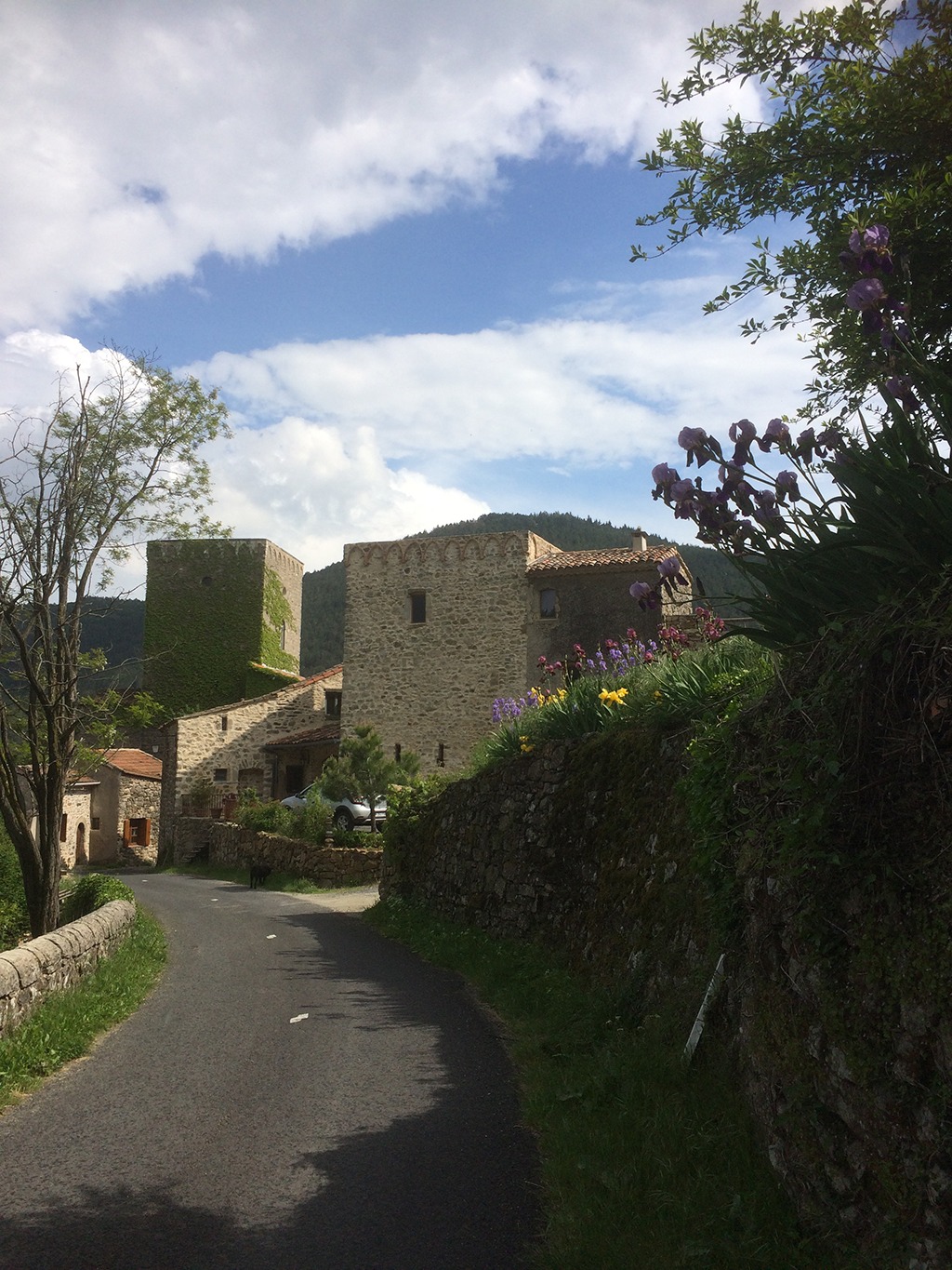 La tour