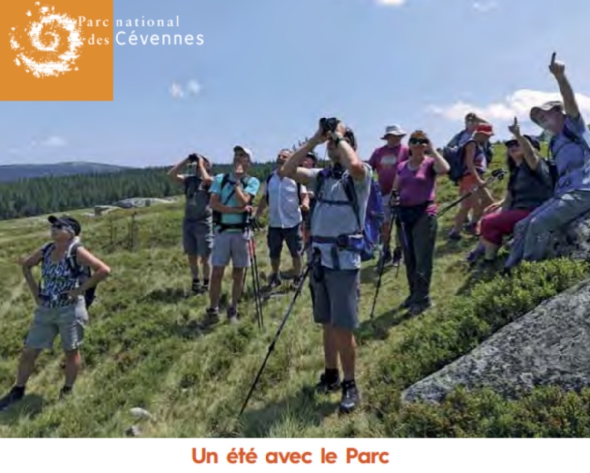 Un été avec le parc