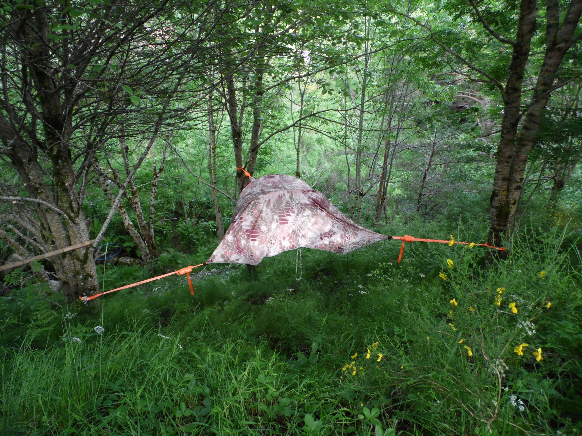 Tente arboricole - Bivouac du Vallon des Sources