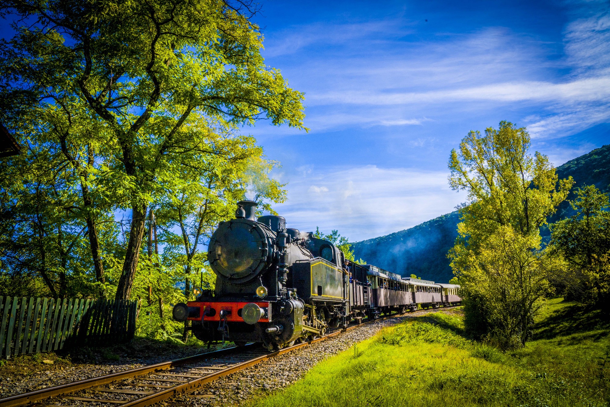 train à vapeur des cévènnes