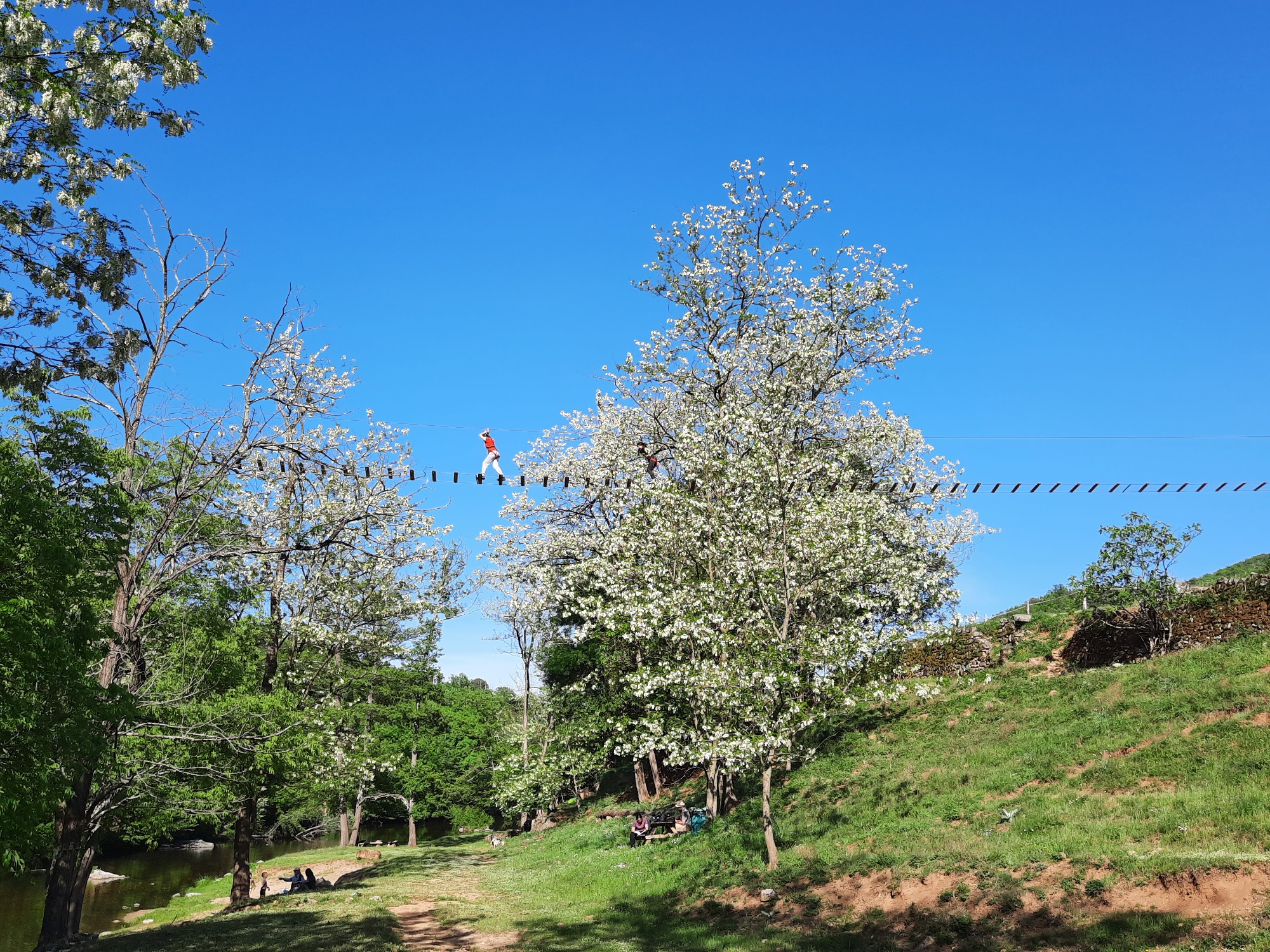 La Ferme Abracadabranche_Thoiras