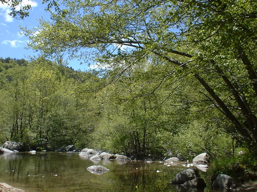 Camping La Pensière Dourbies