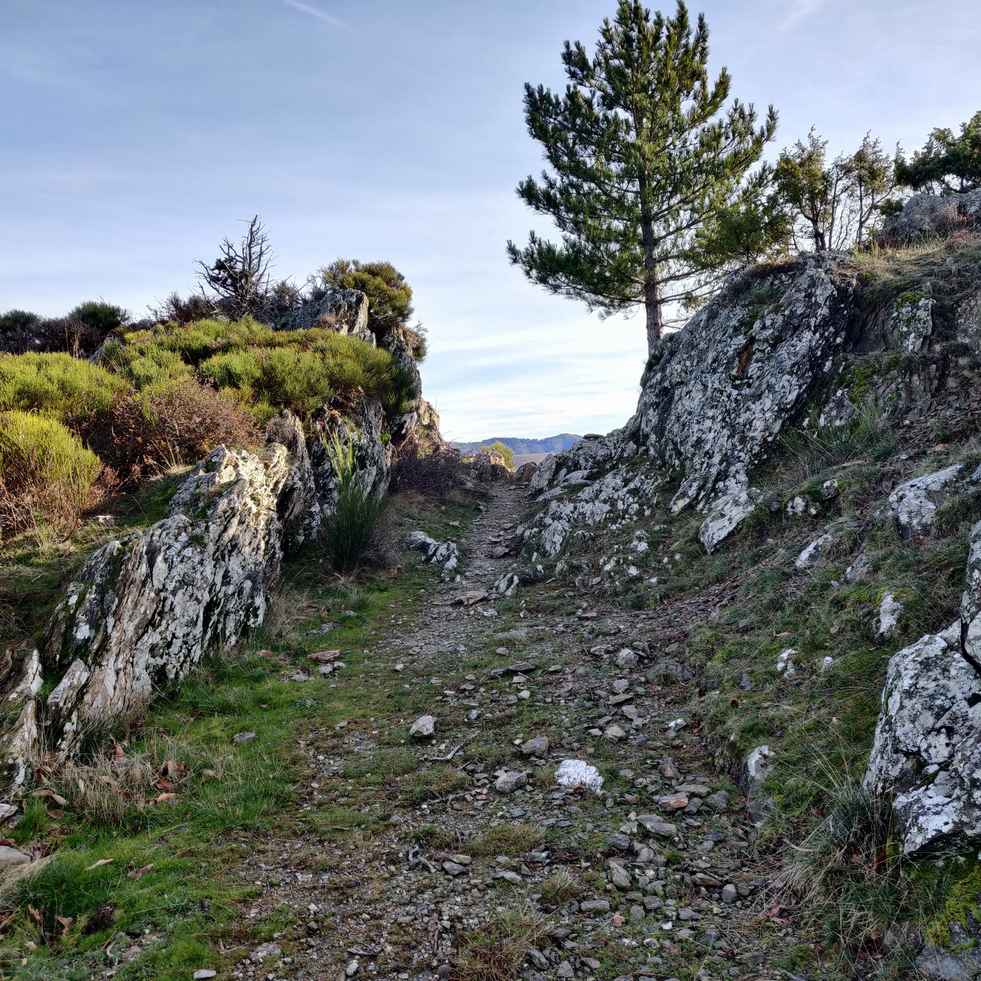 Nom de l’itinéraire	Le versant méditerranéen de l'Aigoual