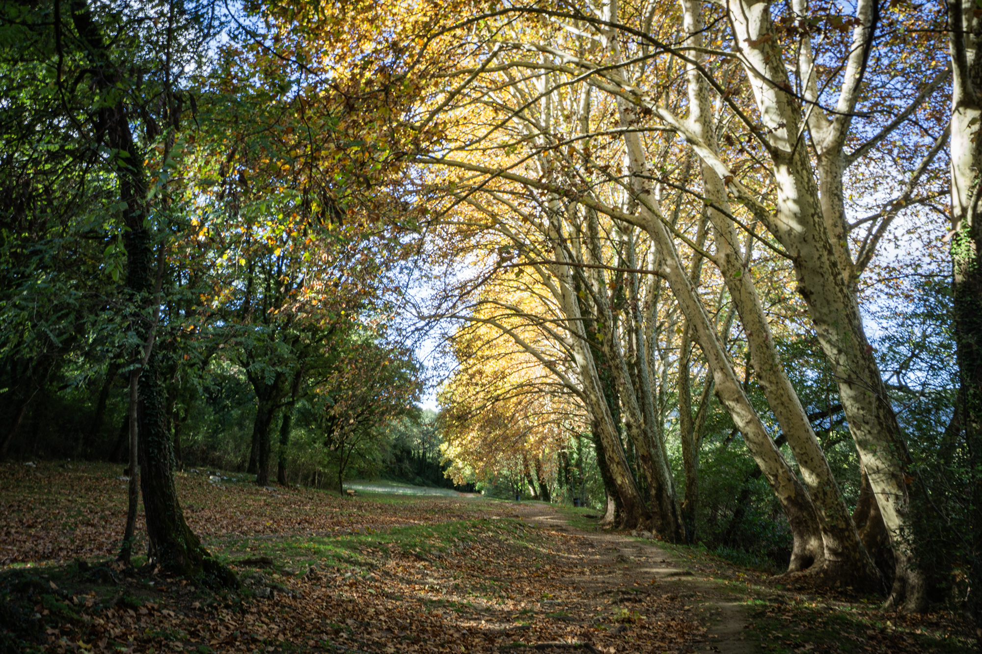 Aire de pique-nique du Fesquet_Cazilhac