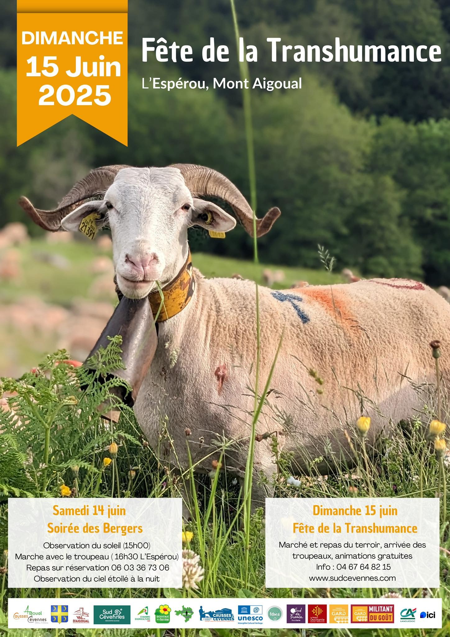 33ème Fête de la Transhumance_L'Esperou
