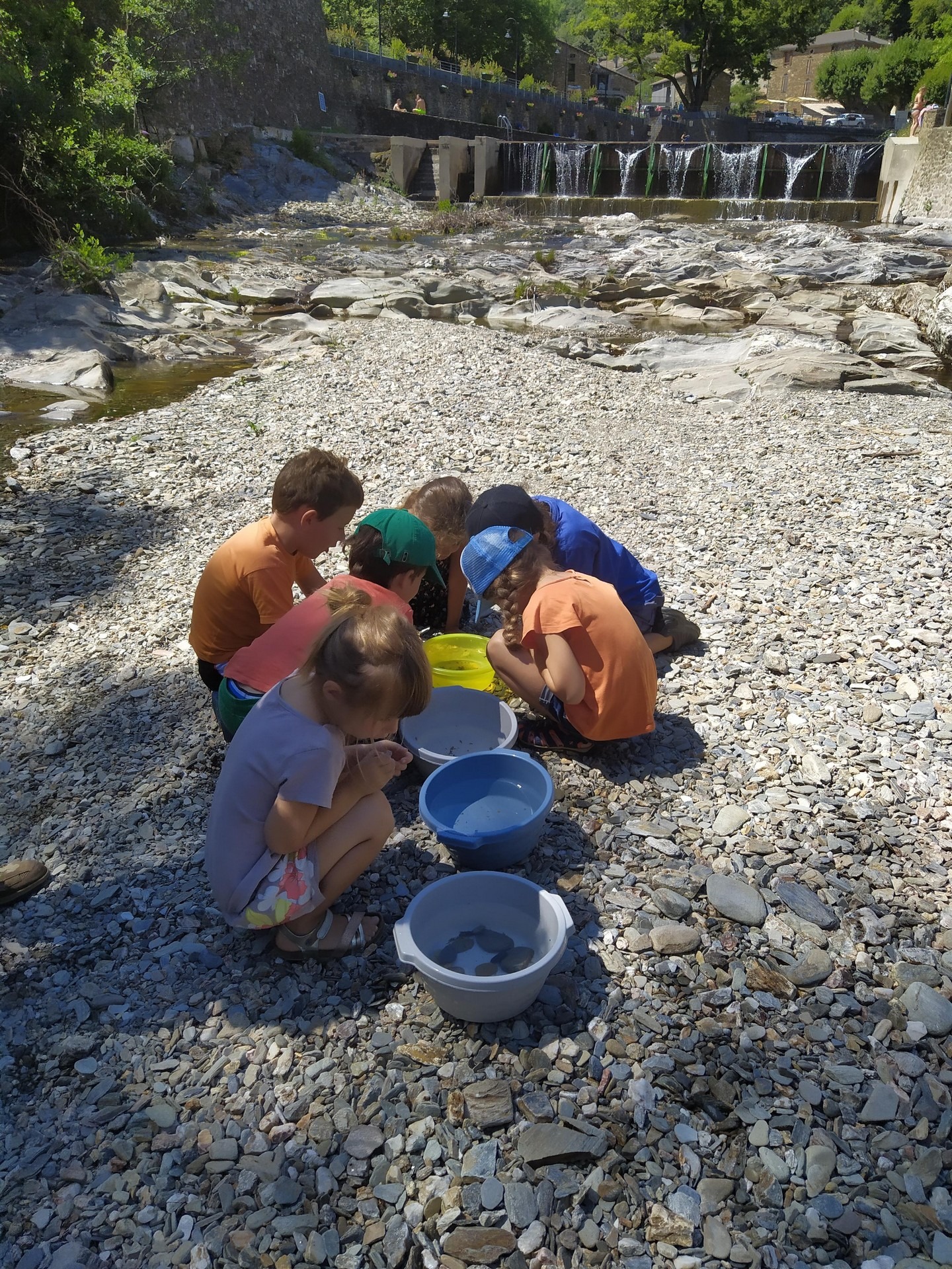 le petit peuple de l'eau
