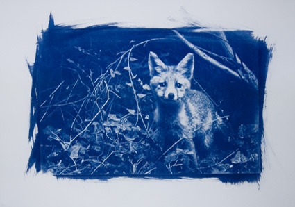 Renardeau papier blanchi