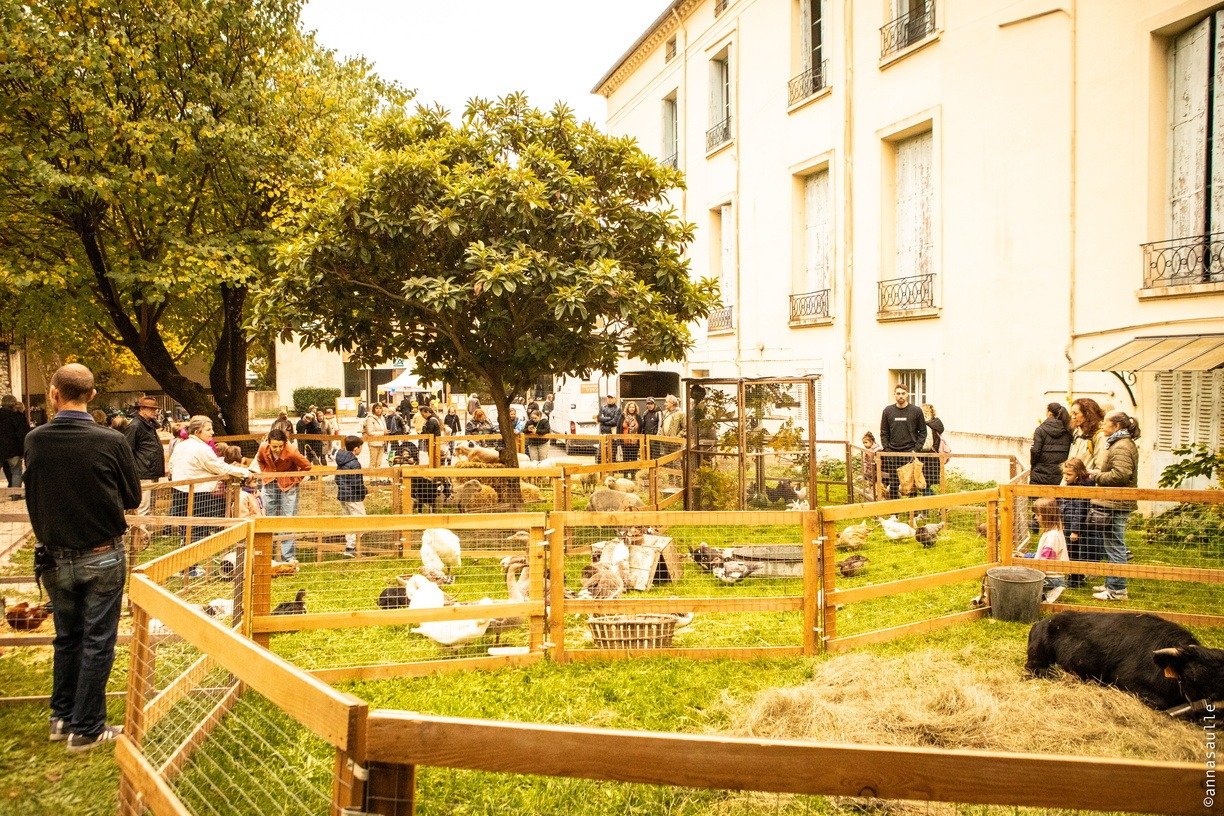 32ème Foire de la Pomme et de l’Oignon doux des cévennes_Le Vigan