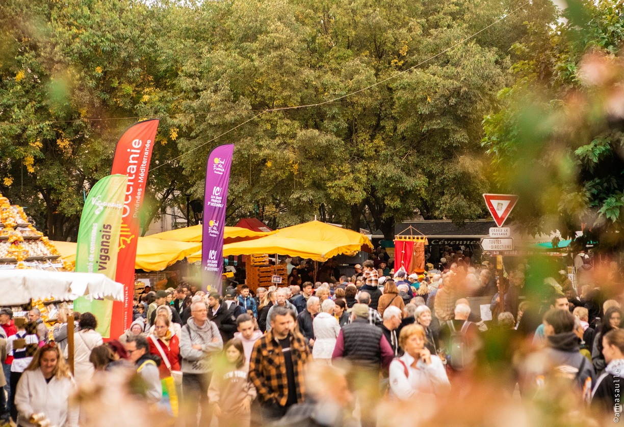 32ème Foire de la Pomme et de l’Oignon doux des cévennes_Le Vigan