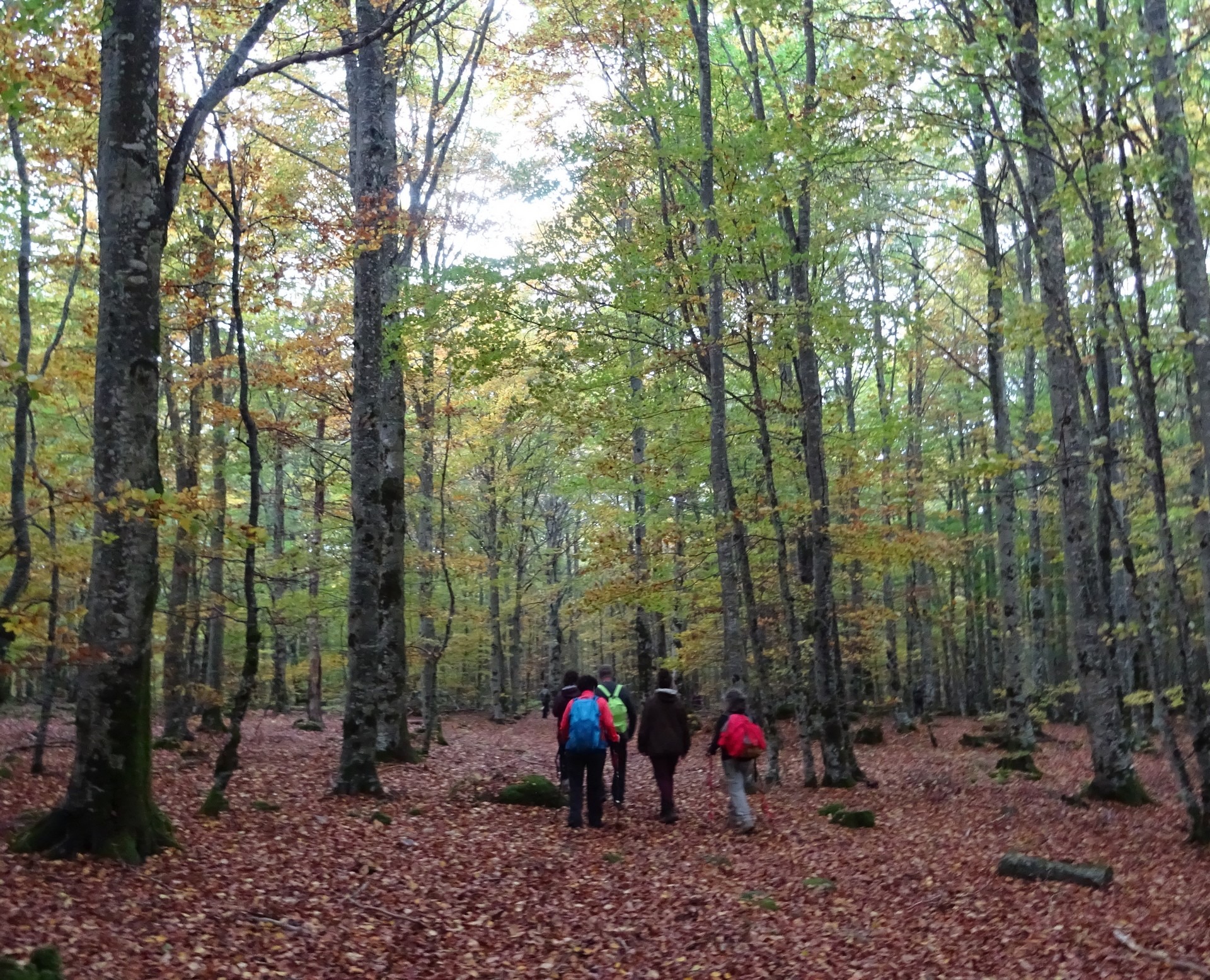 Sentier de découverte : Canayère - indices de la vie rurale_Trèves