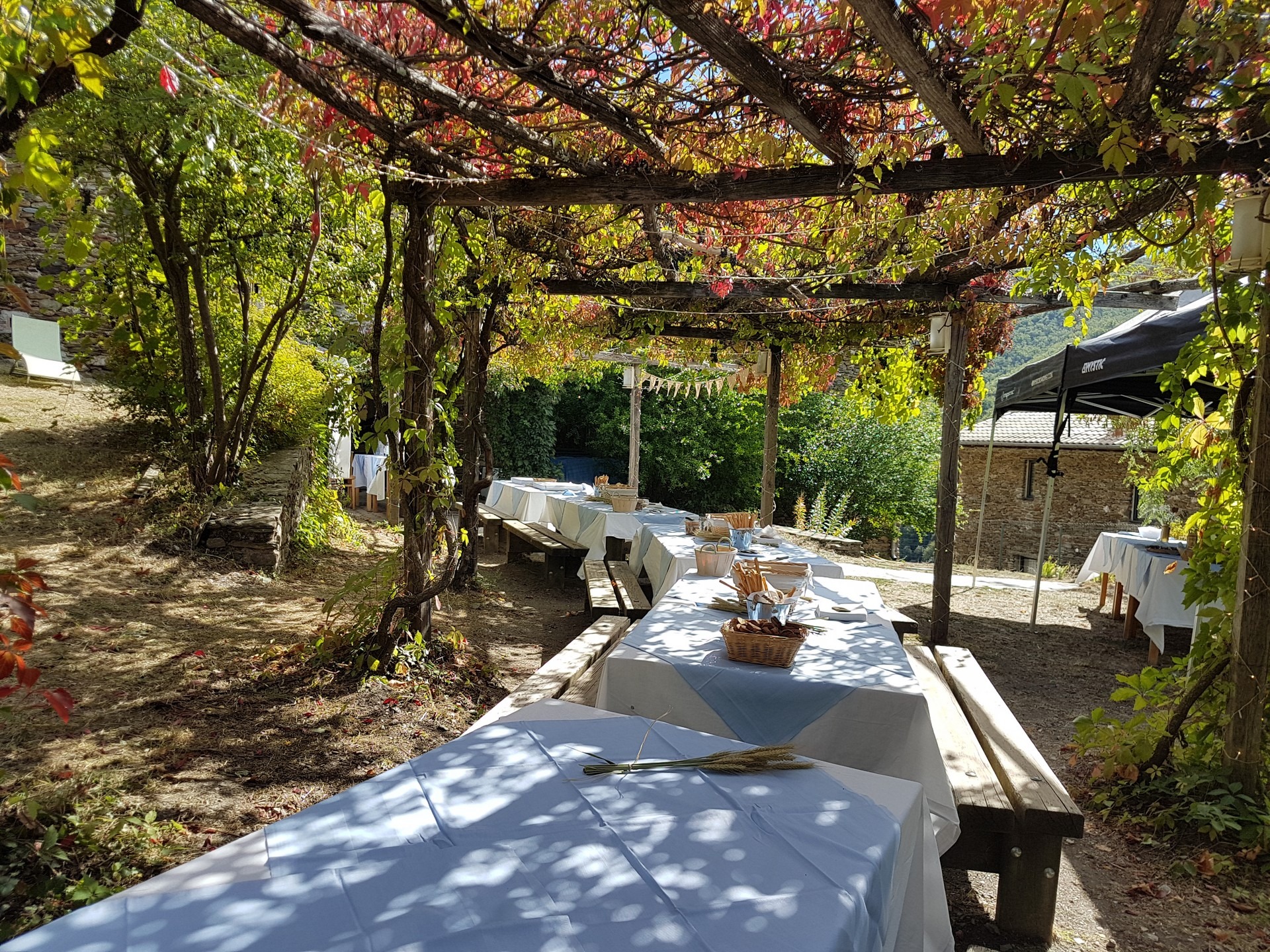 Maison Clément - Feveyrolles