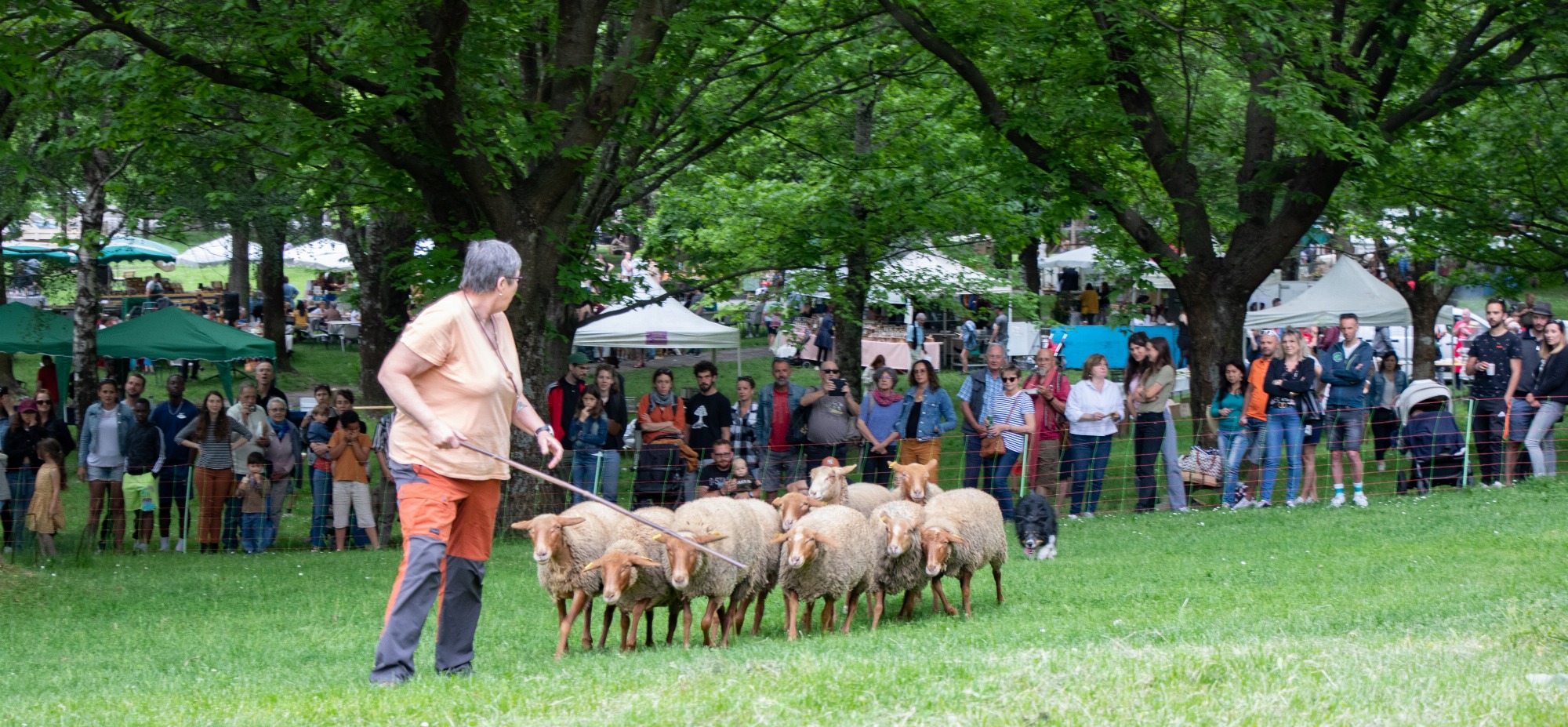 Printemps du Pélardon_Le Vigan
