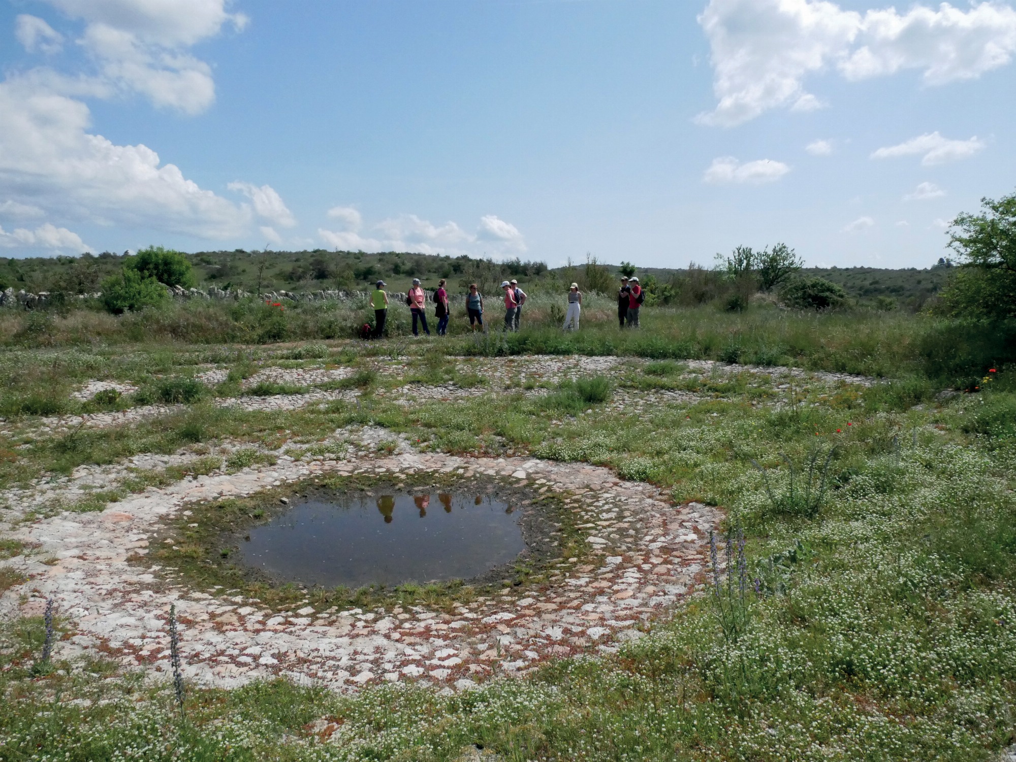 A la découverte de l'agropastoralisme méditerranéen et de ses paysages_Campestre-et-Luc