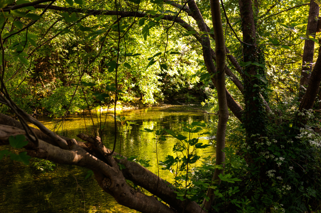 Aire aménagée de Gorniès_Gorniès