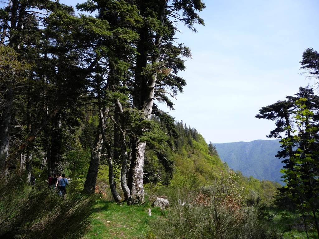 Arboretum Hort de Dieu