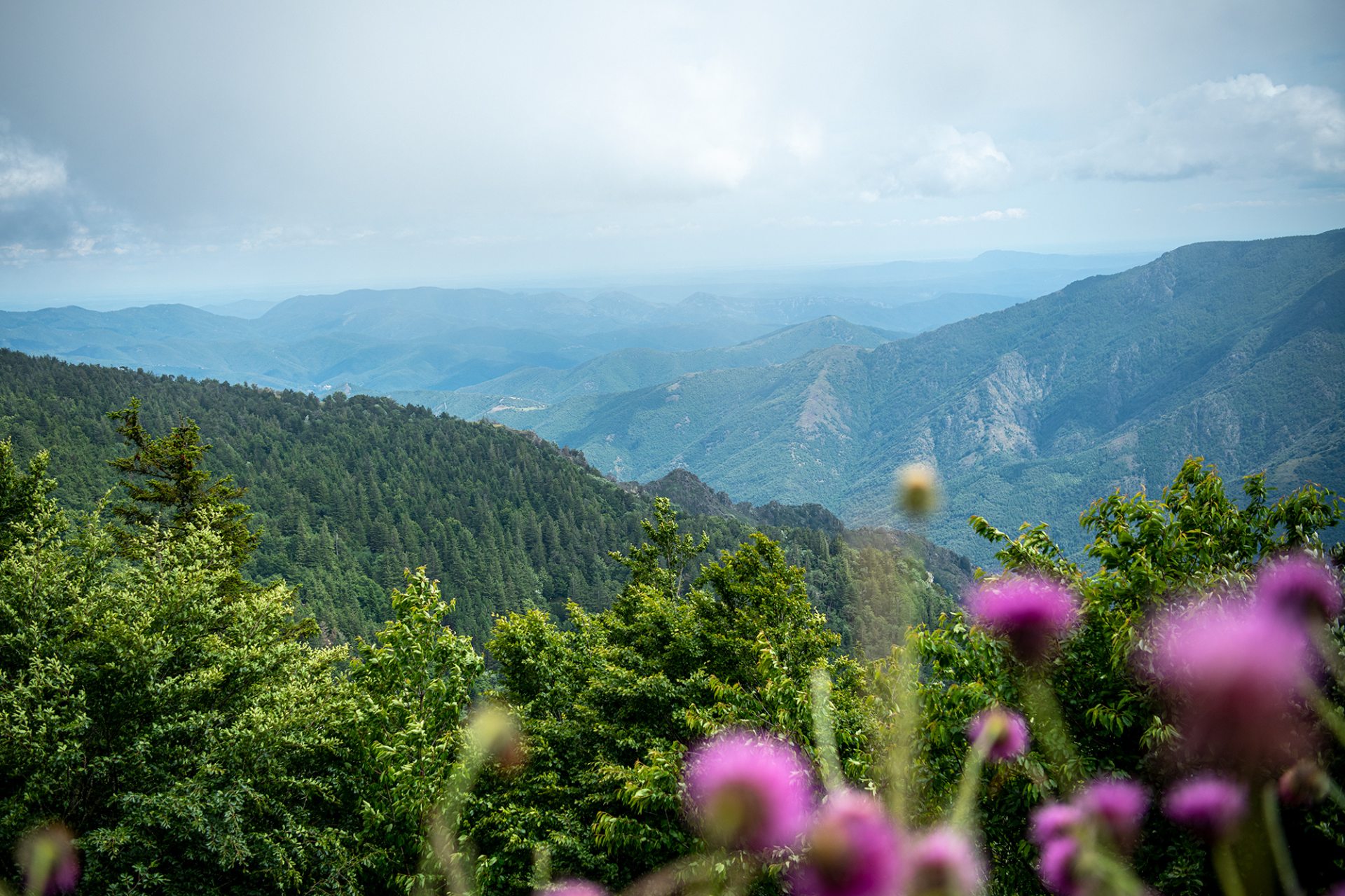 Panorama sur les Cévennes