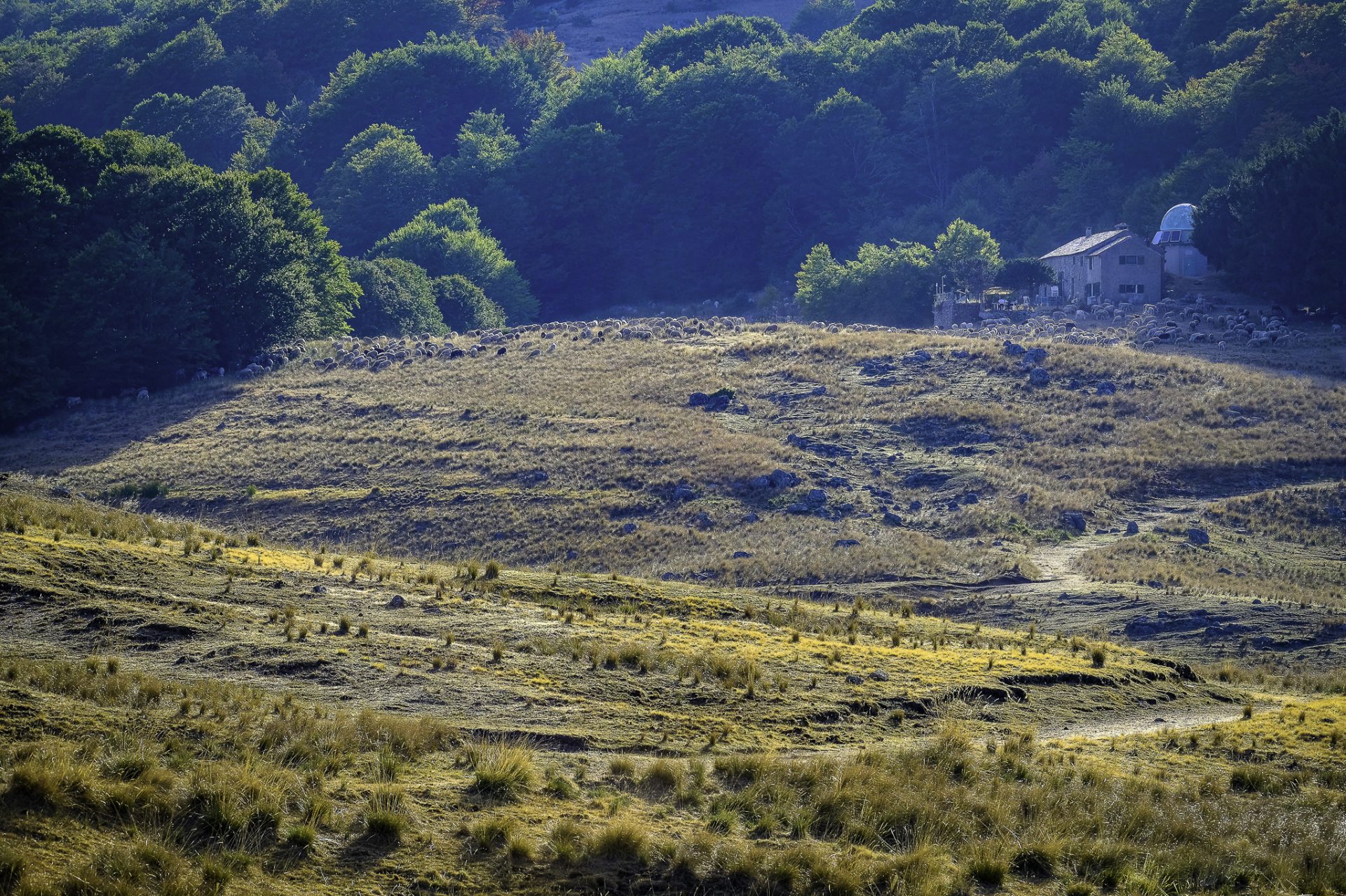 Observatoire du lac des Pises