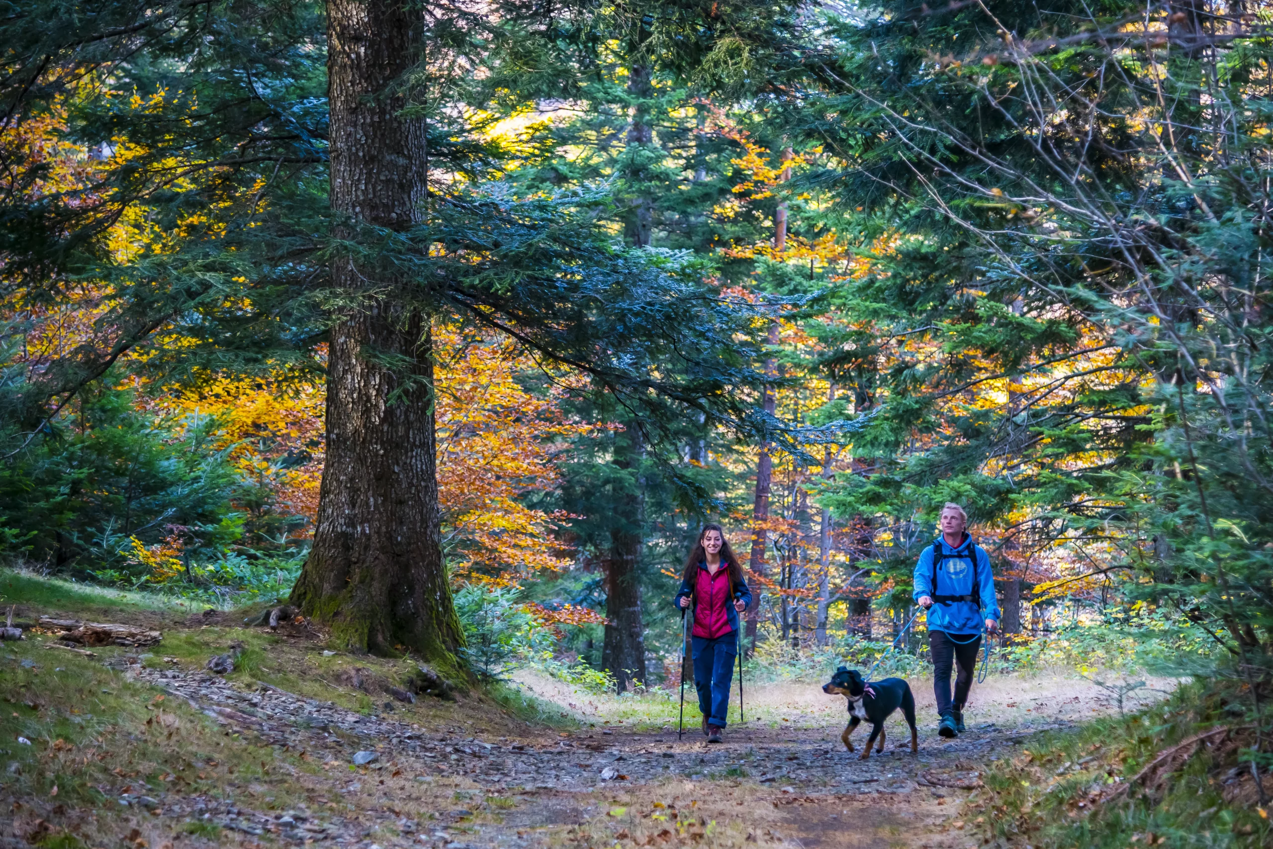 Couple de randonneur avec chien en laisse