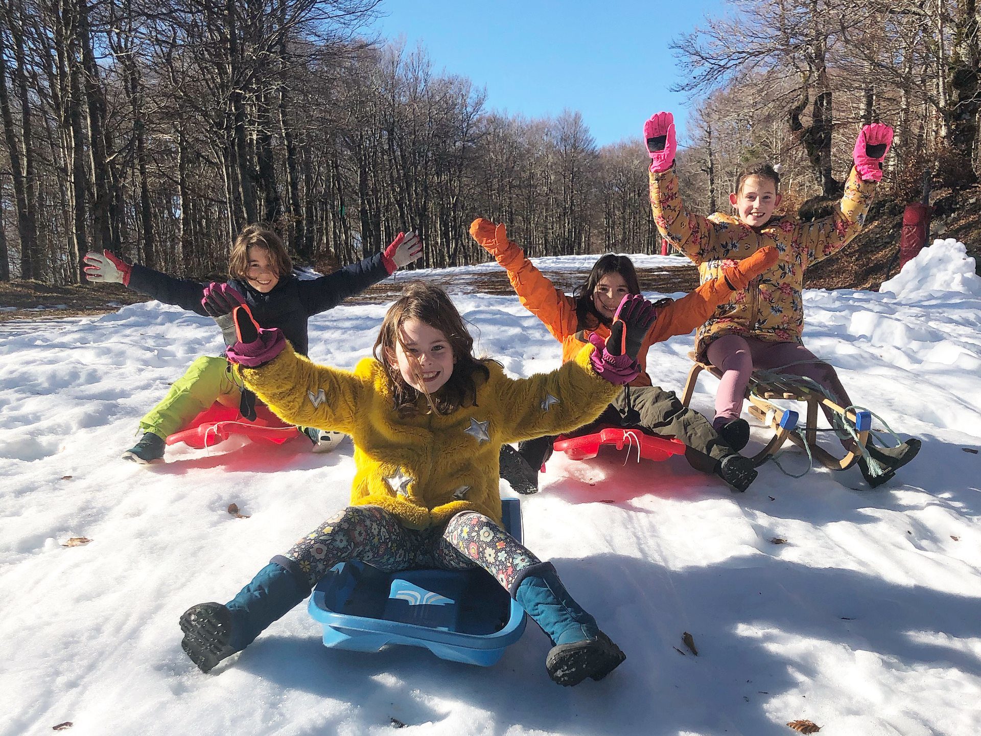 Luge au Mont Aigoual