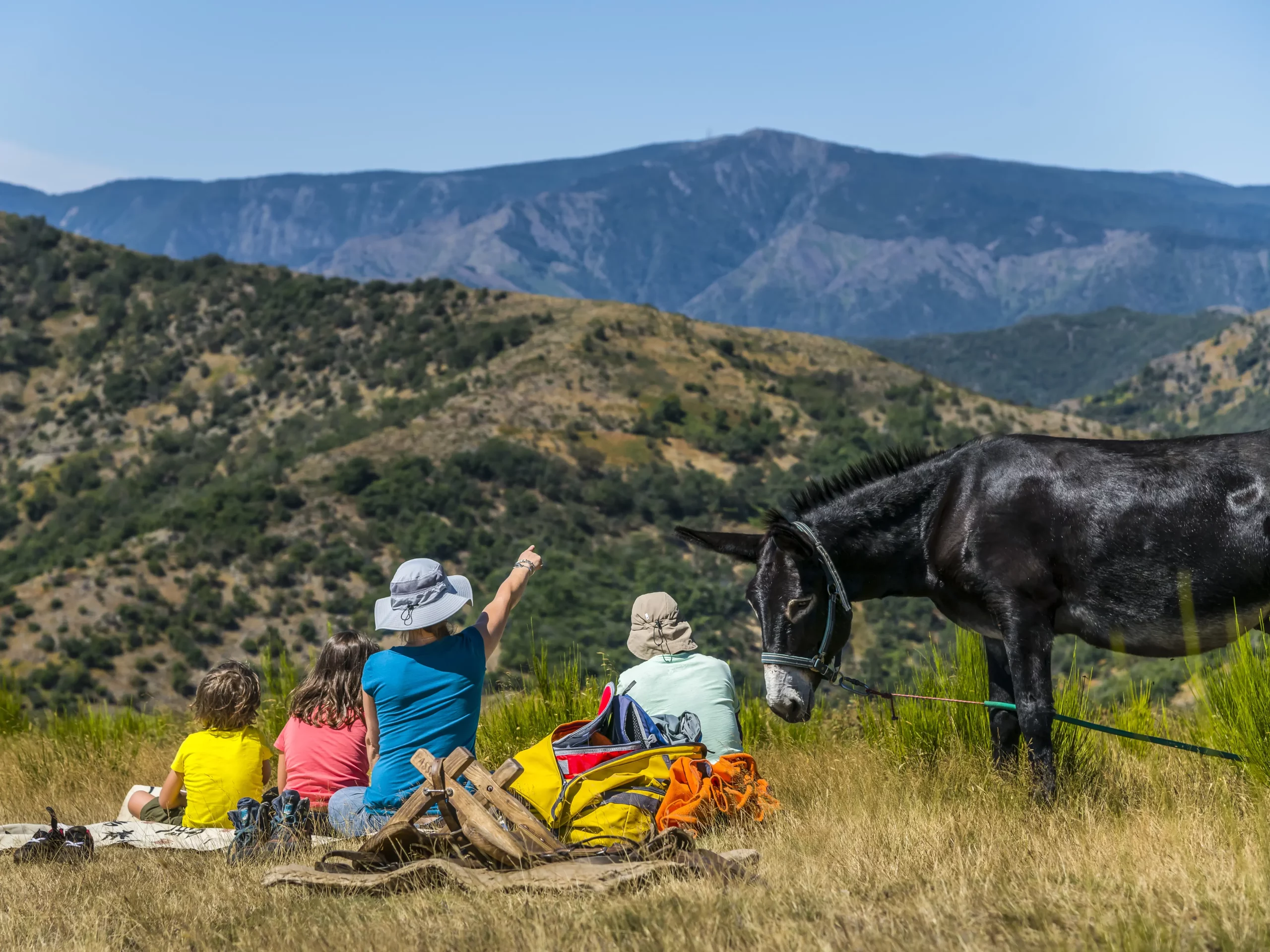 Picnic with a donkey