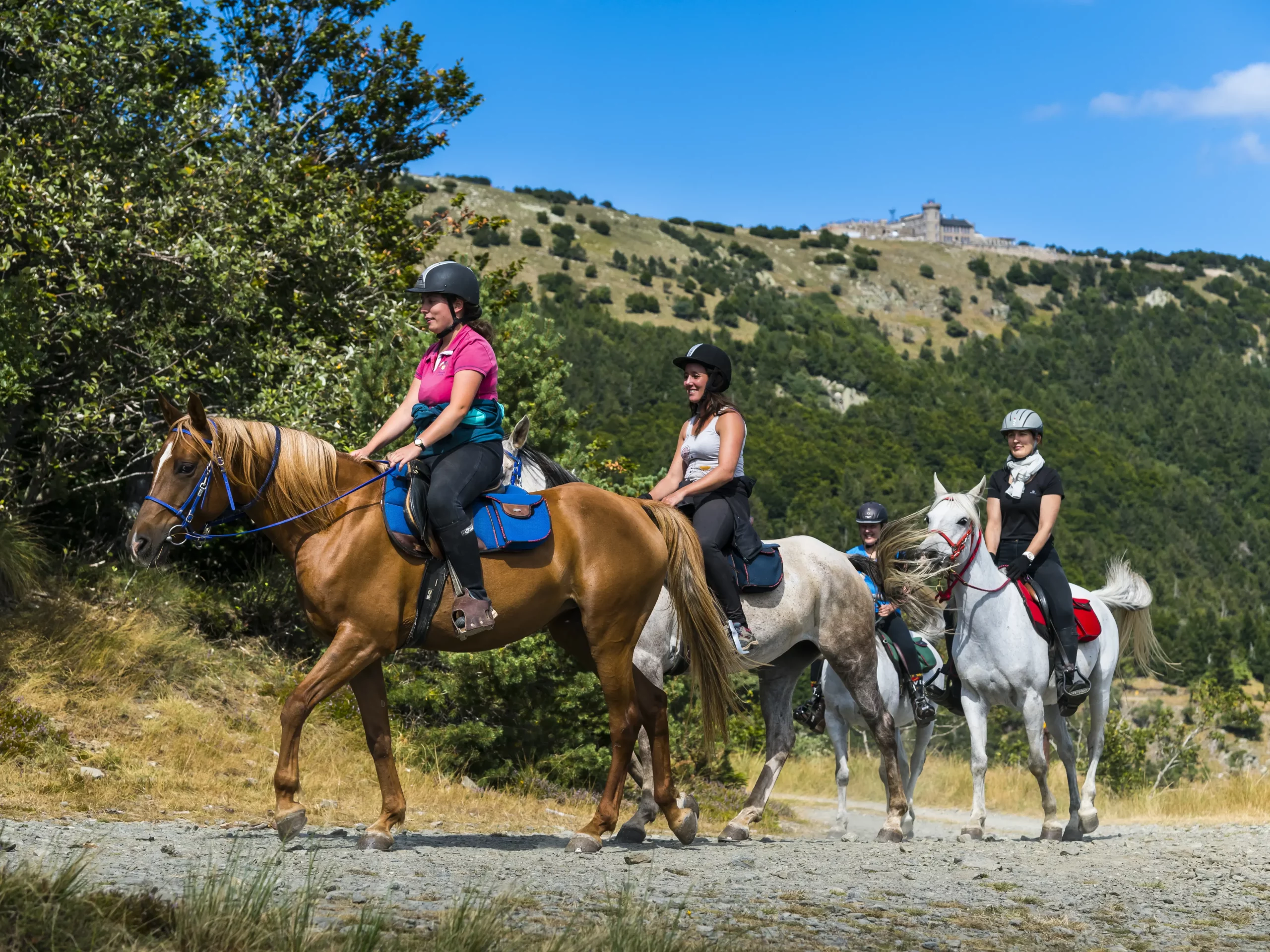 On horseback at the foot of Aigoual