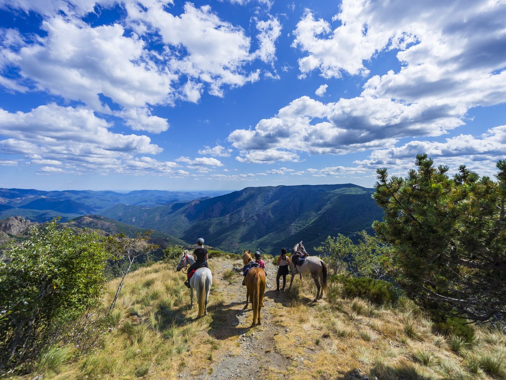 Groupe à cheval dans les Cévennes