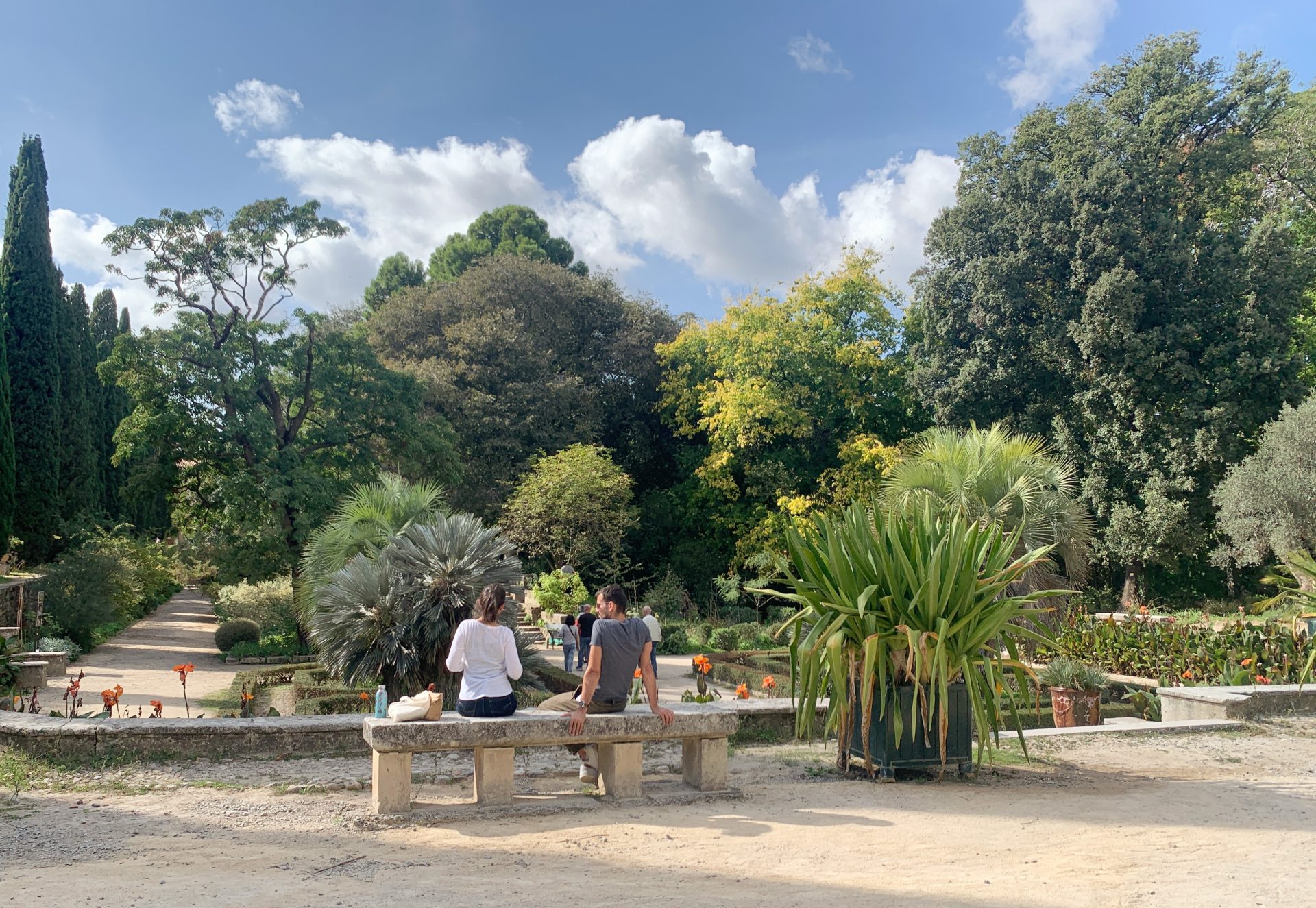 jardin aux plantes