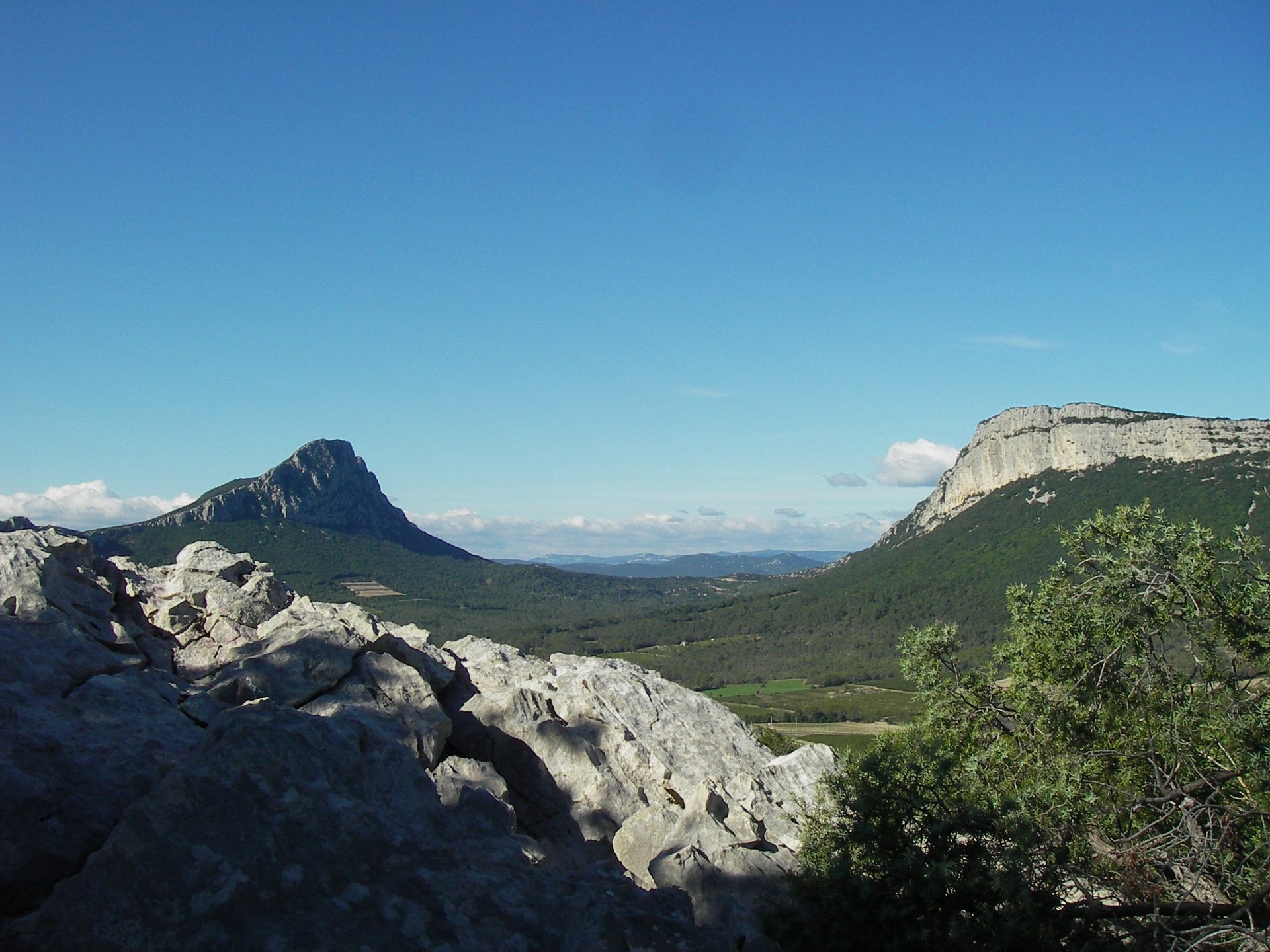 pic saint loup