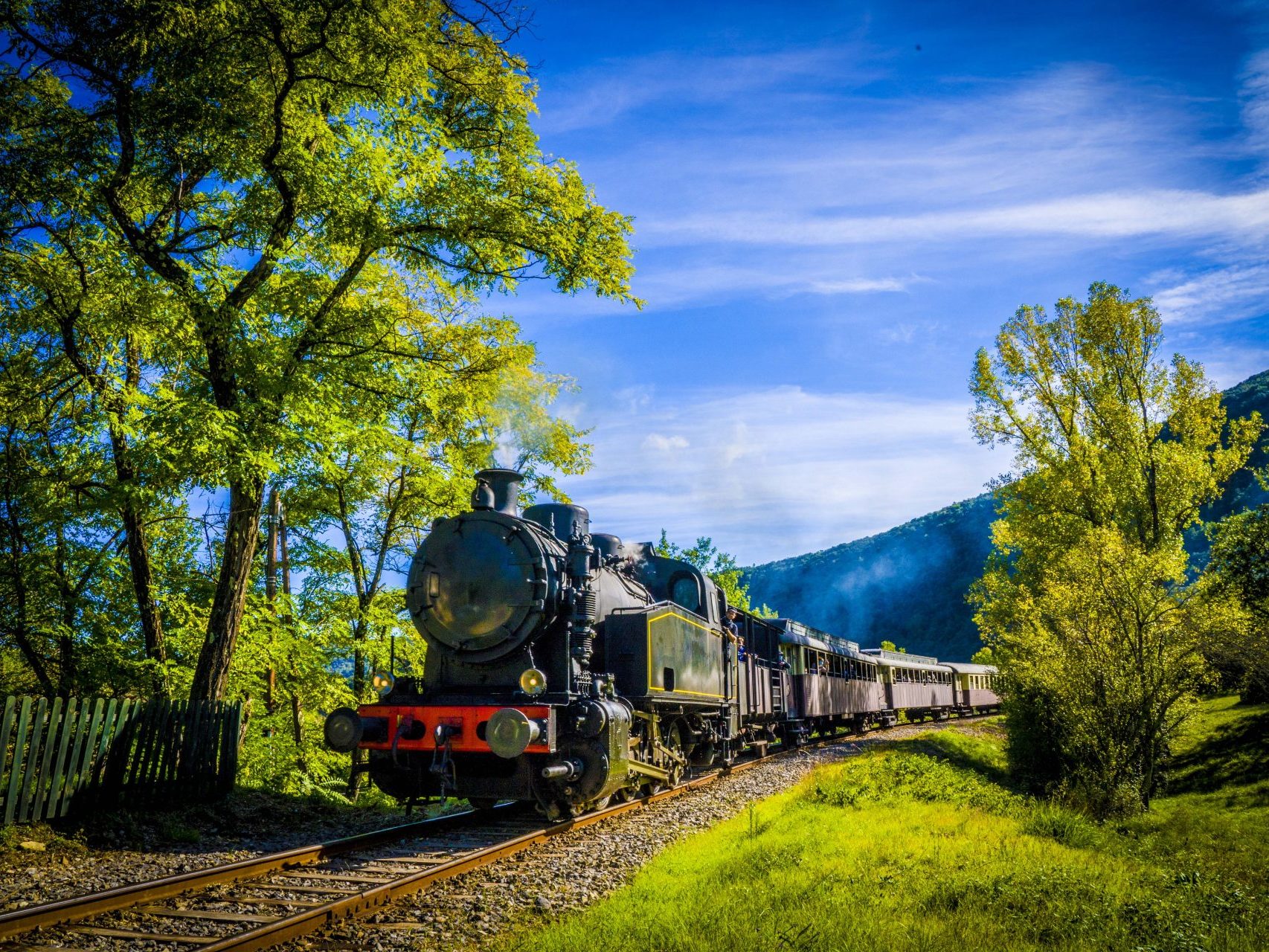 Train à vapeur des Cévennes