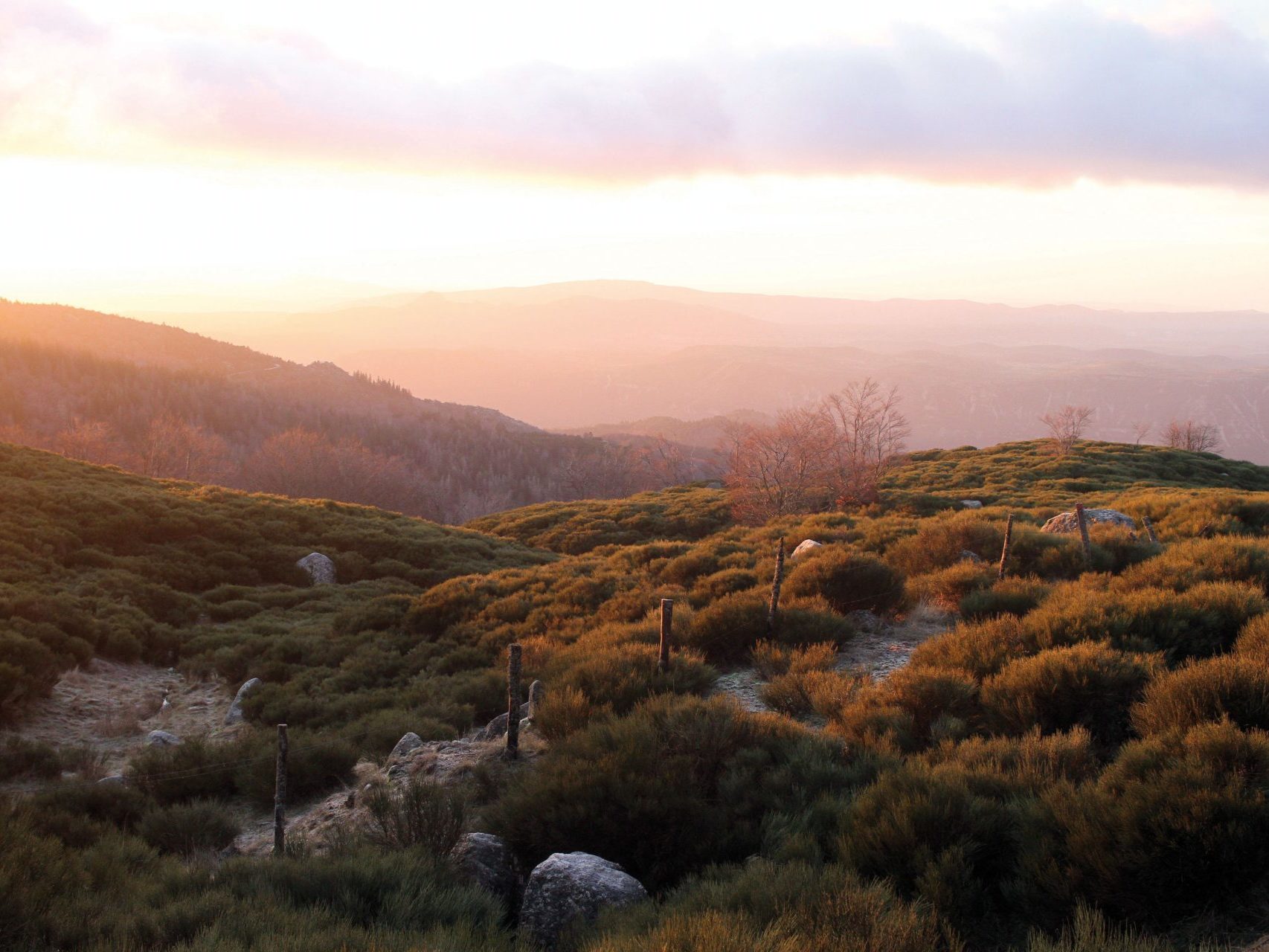 Lever de soleil dans le Parc national des Cévennes